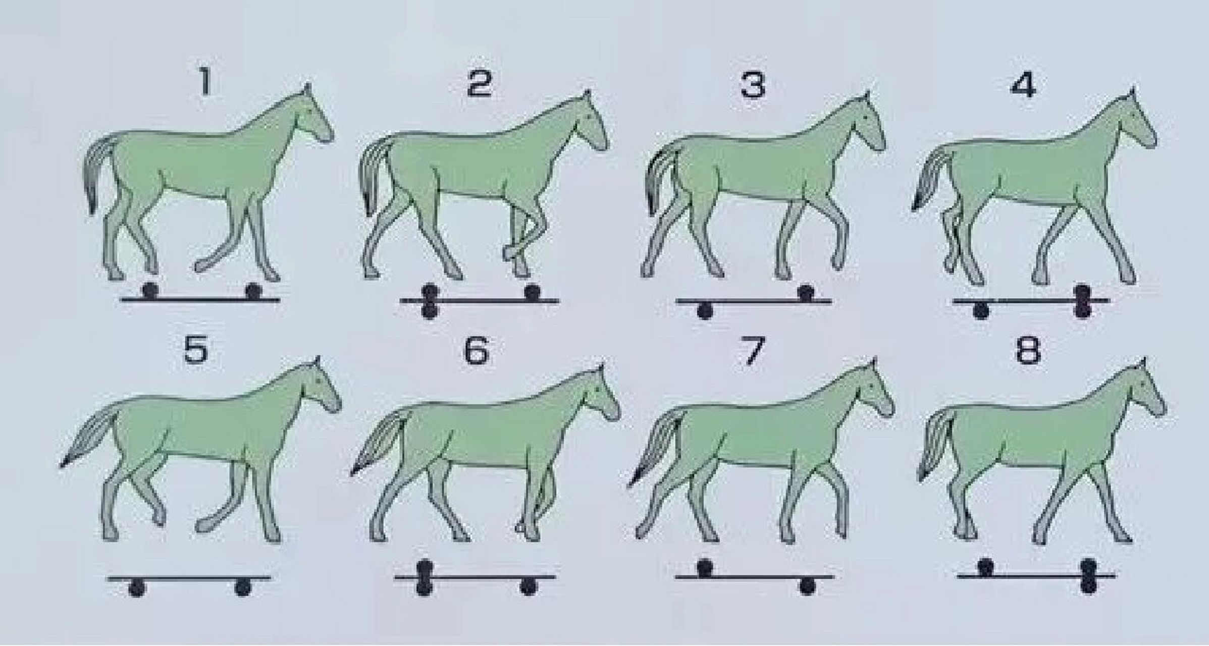 可以评论一下三张图片分别是哪种步伐!