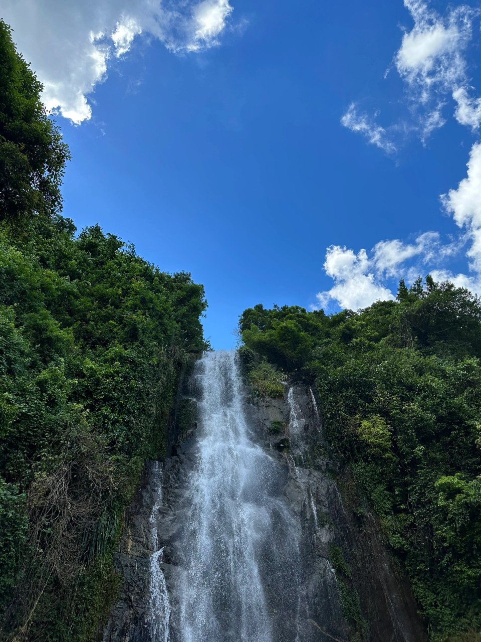 响水龙潭森林公园图片