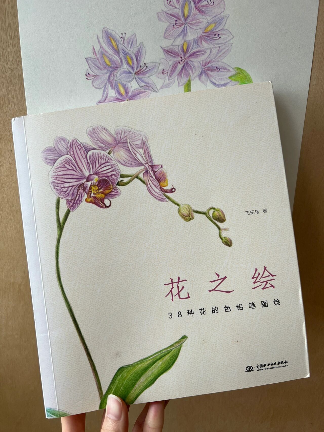 彩铅花卉——合欢花,附步骤图 合欢花语:丝丝缕缕的幸福