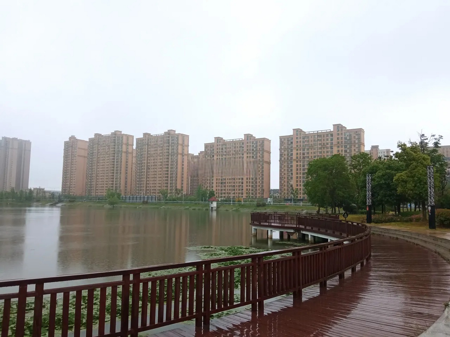 肥西桃花潭公園雨中景色