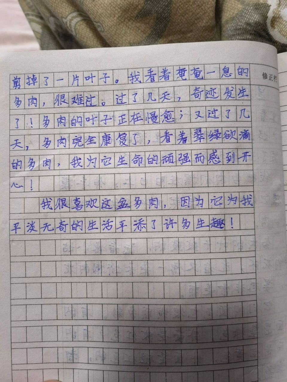多肉观察日记四年级640个字的简单介绍
