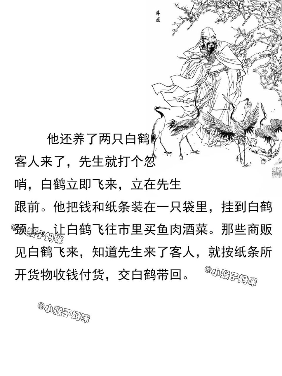 梅妻鹤子的故事图片