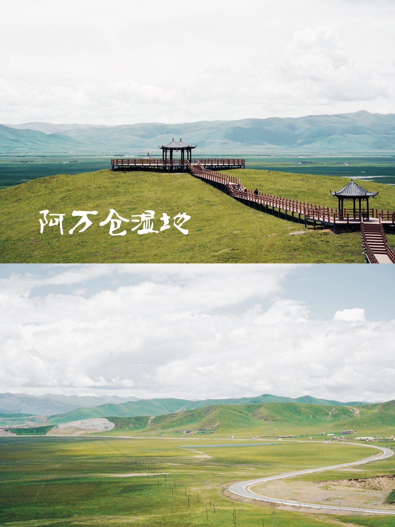 甘南小众之阿万仓湿地公园