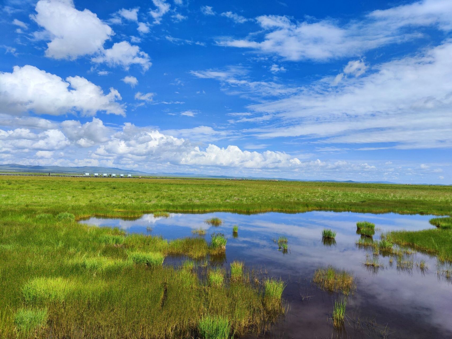 看过来 这个夏天来到了若尔盖大草原.