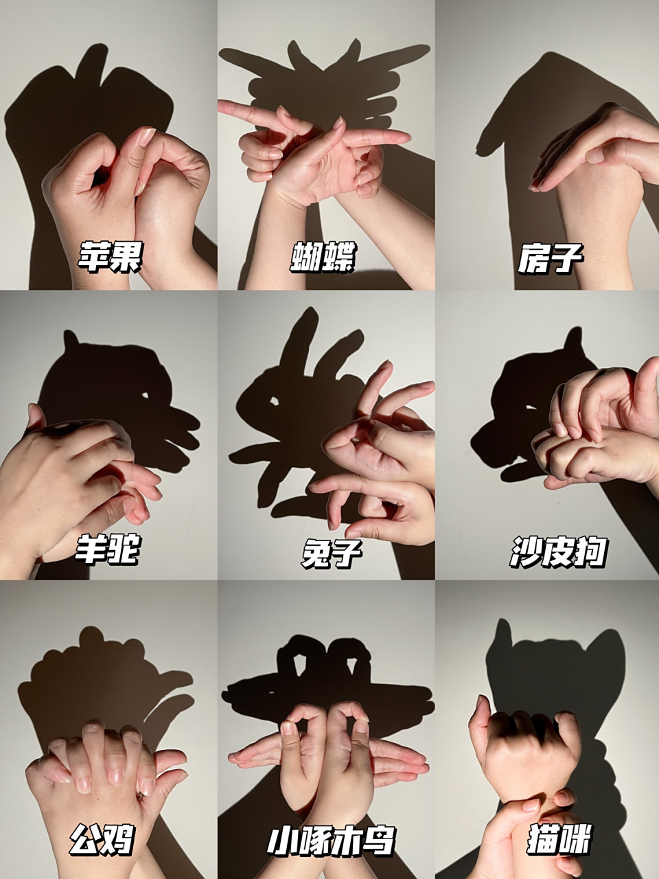 趣味儿童手影(2)替孩子存下吧,划走就没了!