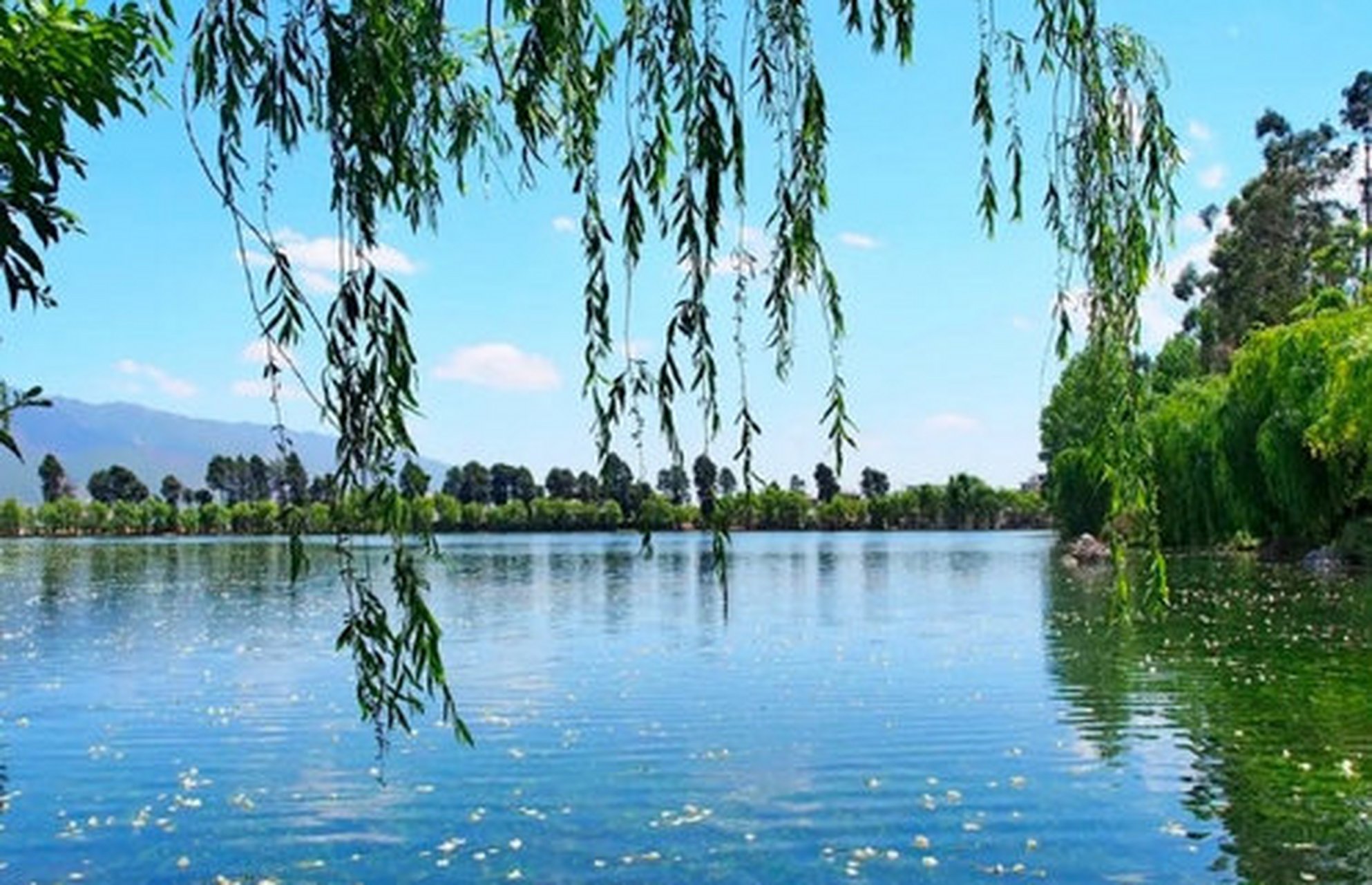 大理鹤庆白龙潭,有没有龙我不知道,不过风景确实不错,水很清,可以看看