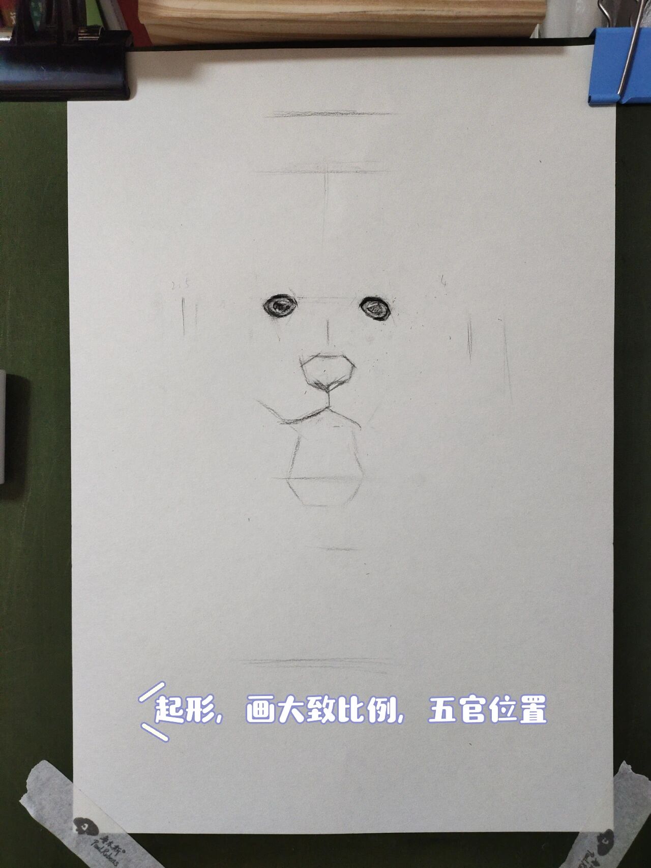 萨摩耶素描图片图片