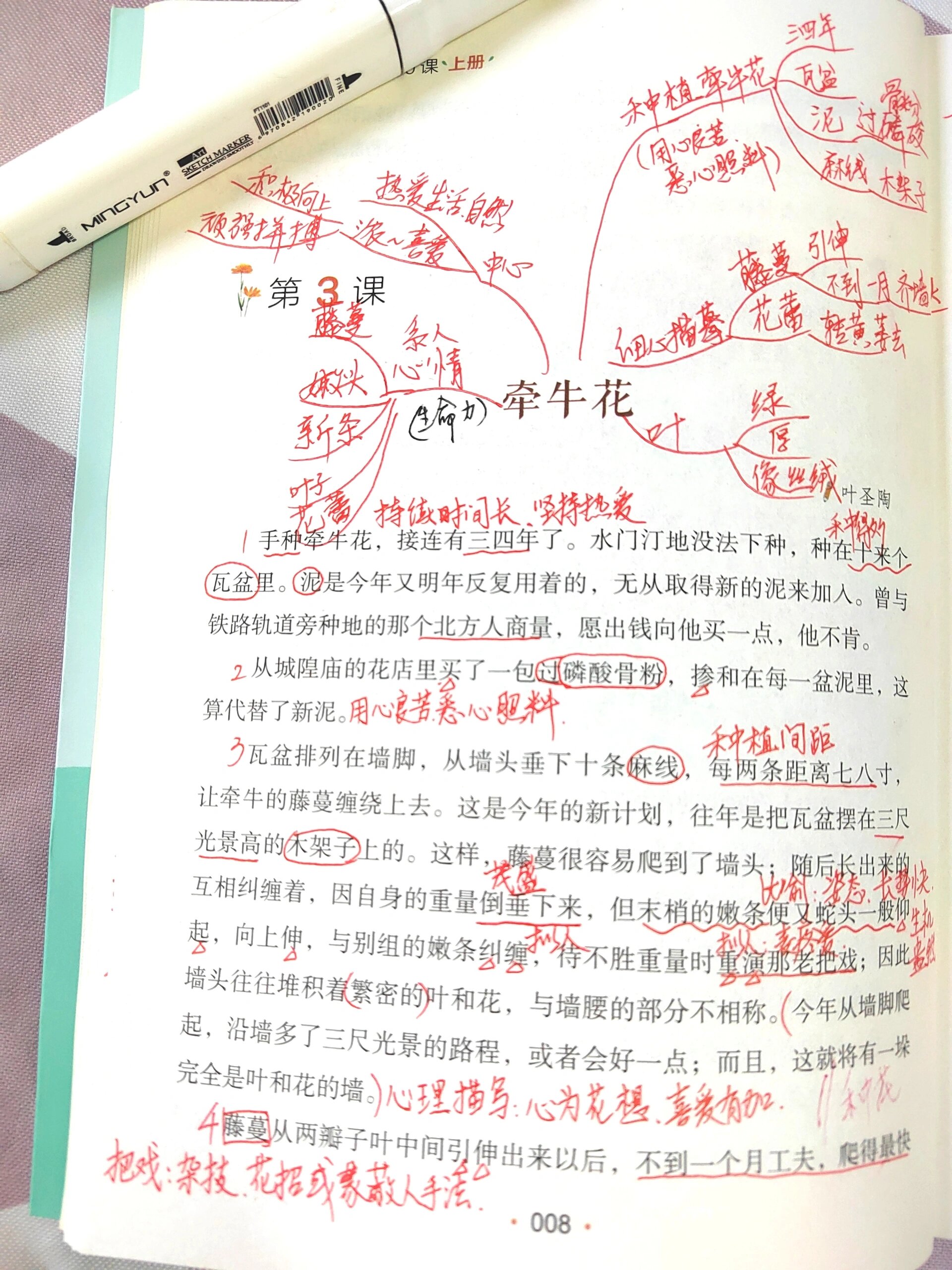 《小散文100课》3 牵牛花思维导图精读 仿写