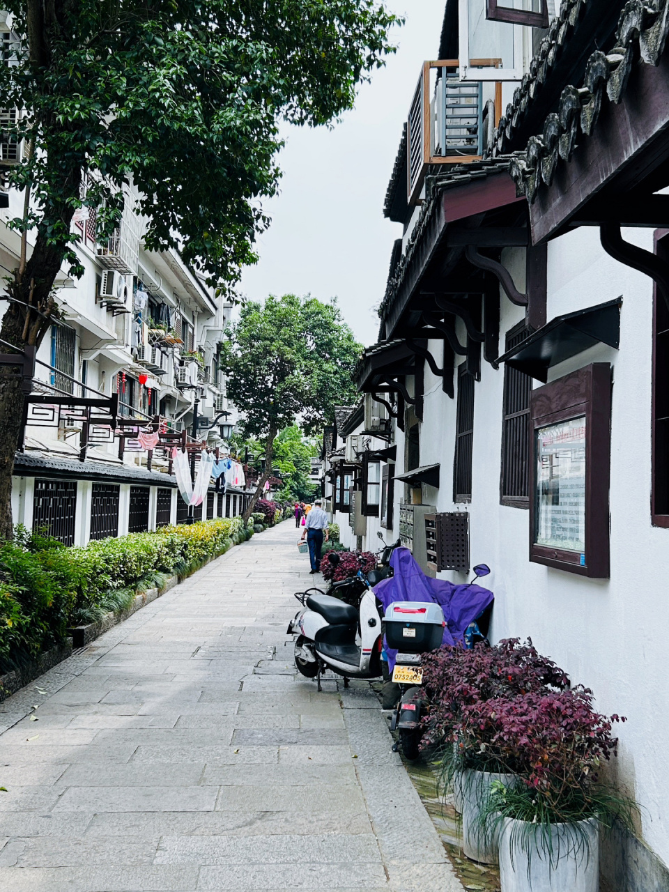 杭州|小营巷,竟有这样的红色过去 杭州小营巷是一条历史悠久的小巷