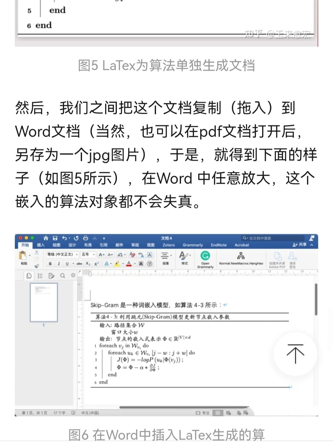 word插入中文算法伪代码