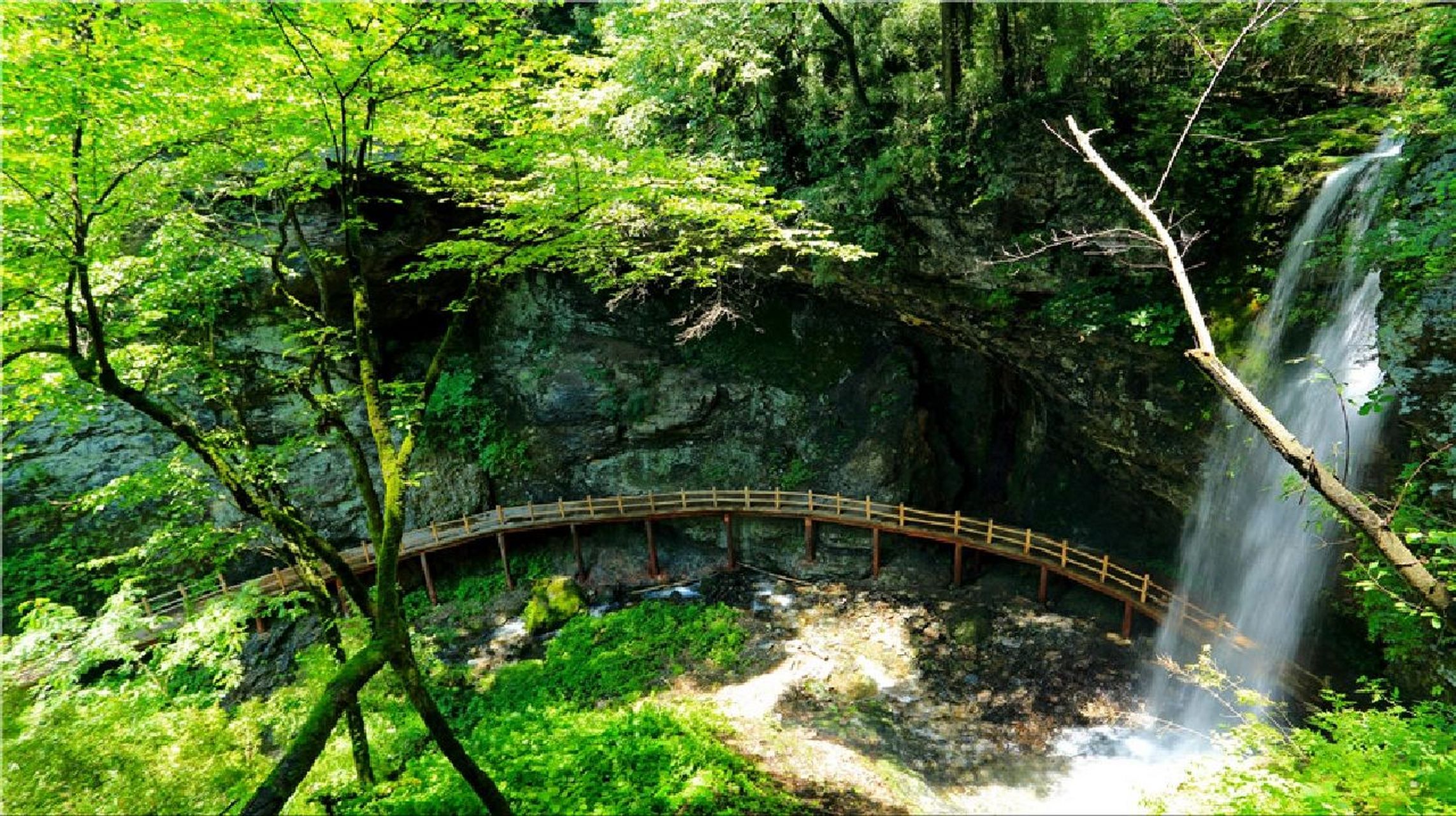 96略阳之旅 701511566汉析里田园温泉度假区 位于略阳县城