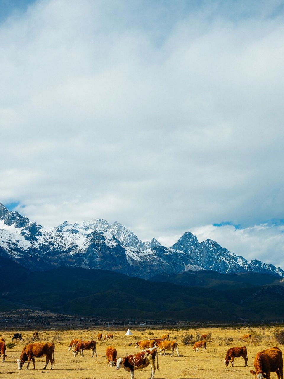 又来丽江!又到玉湖!骑马看山!⛰️丽江小 地点:丽江玉湖村 已经记