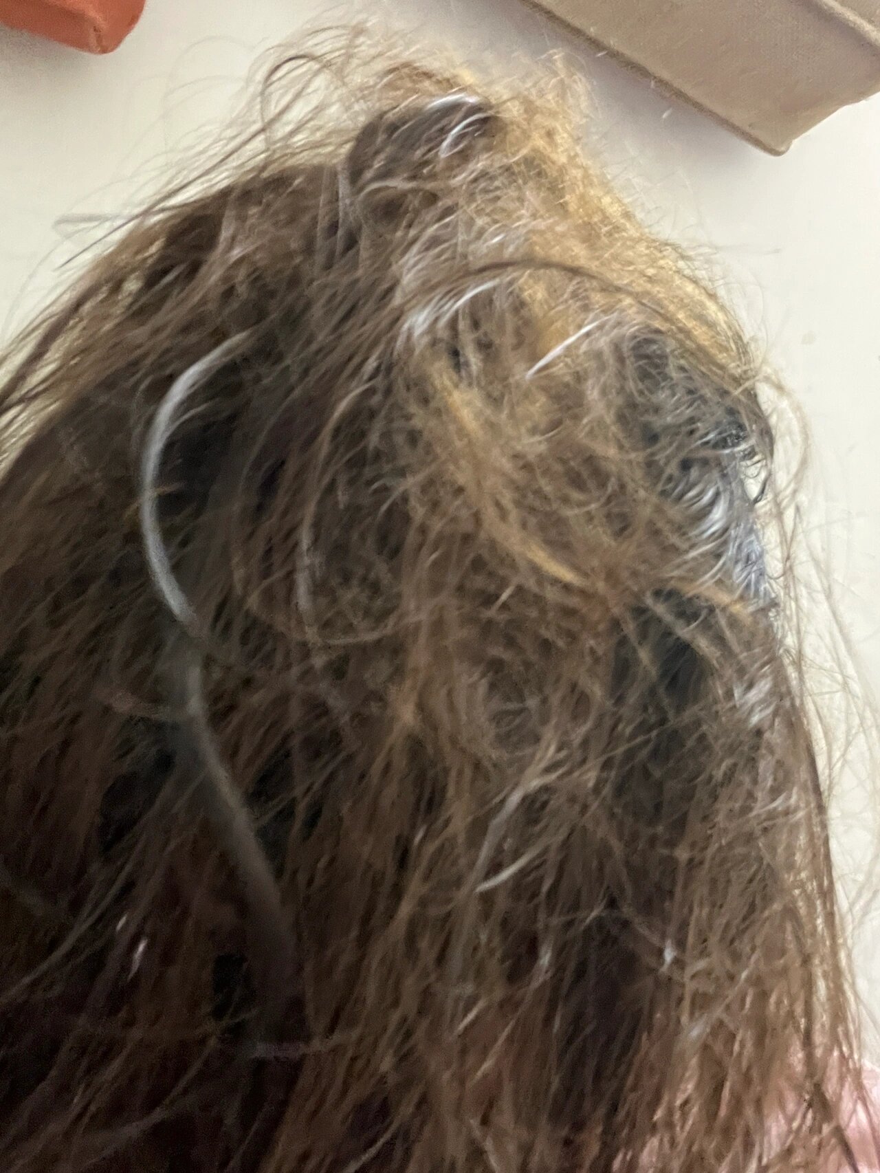 头发打成死结了 不知道为什么,后脑勺总是有一坨打结的头发,梳开了