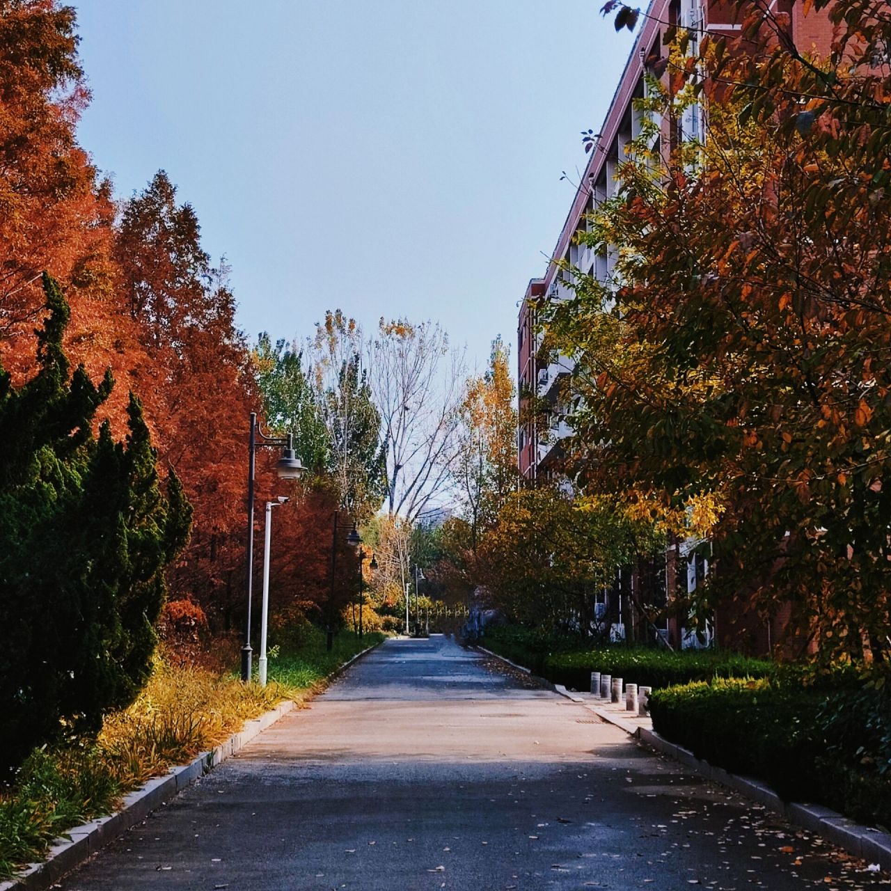 看这一篇就够啦! 有想了解山东外贸职业学院的看这一篇就够啦!