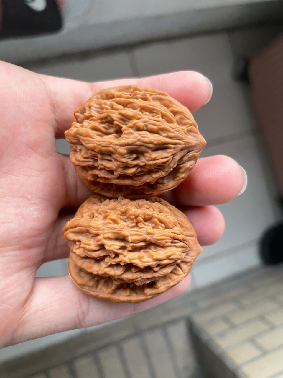 文玩核桃麦穗虎头 虎头是个老品种了,这么多年围绕虎