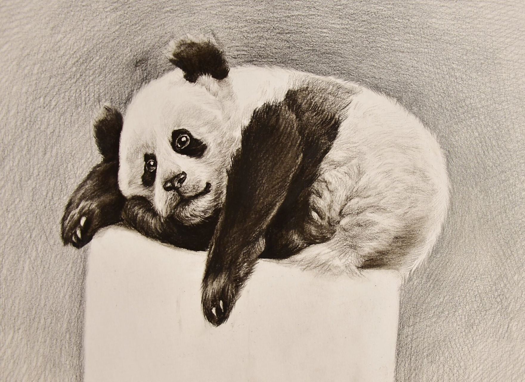 熊猫绘画步骤 可爱的大熊猫绘画步骤,喜欢的请收藏一下哦 94这副