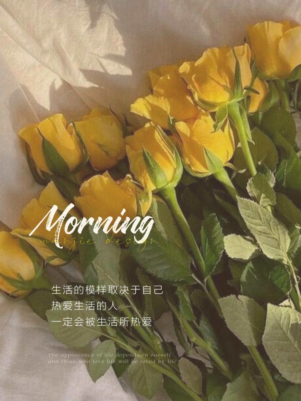 早安日签 适合发圈的治愈文案 朋友圈美学