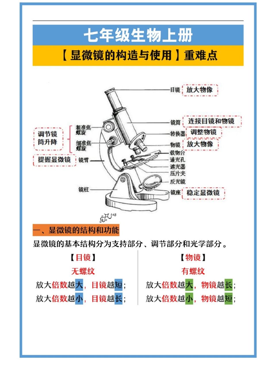 显微镜的方法步骤图片