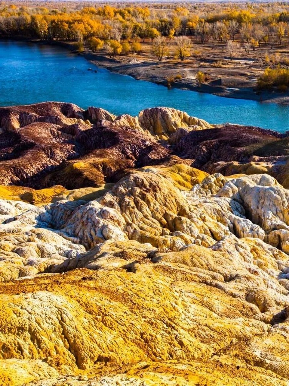 塔里木盆地风景图片