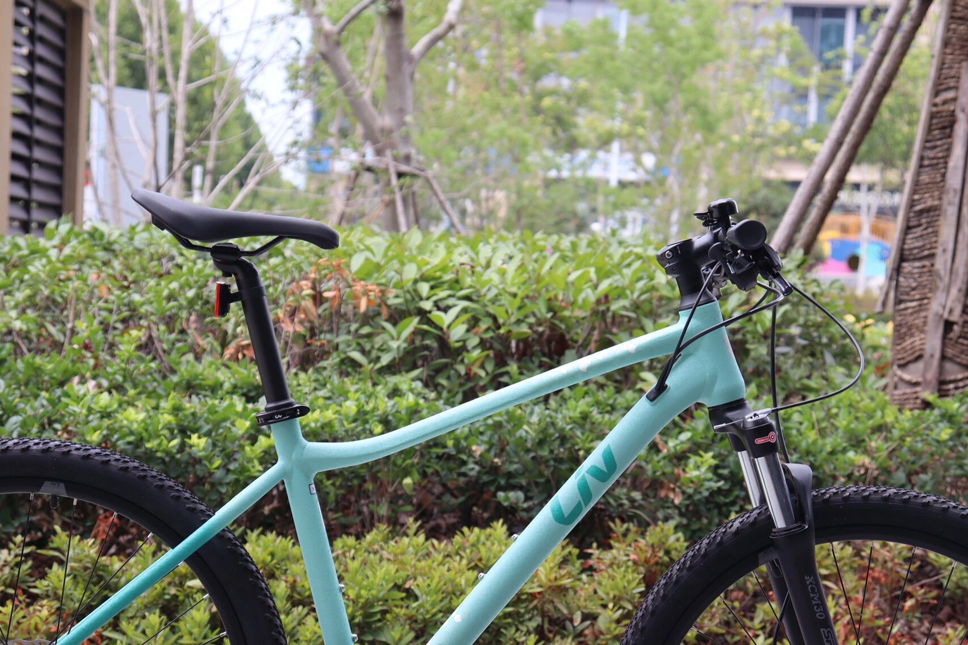 giant捷安特liv丽以芙cate 1凯特1自行车 giant捷安特liv丽以芙cate 1