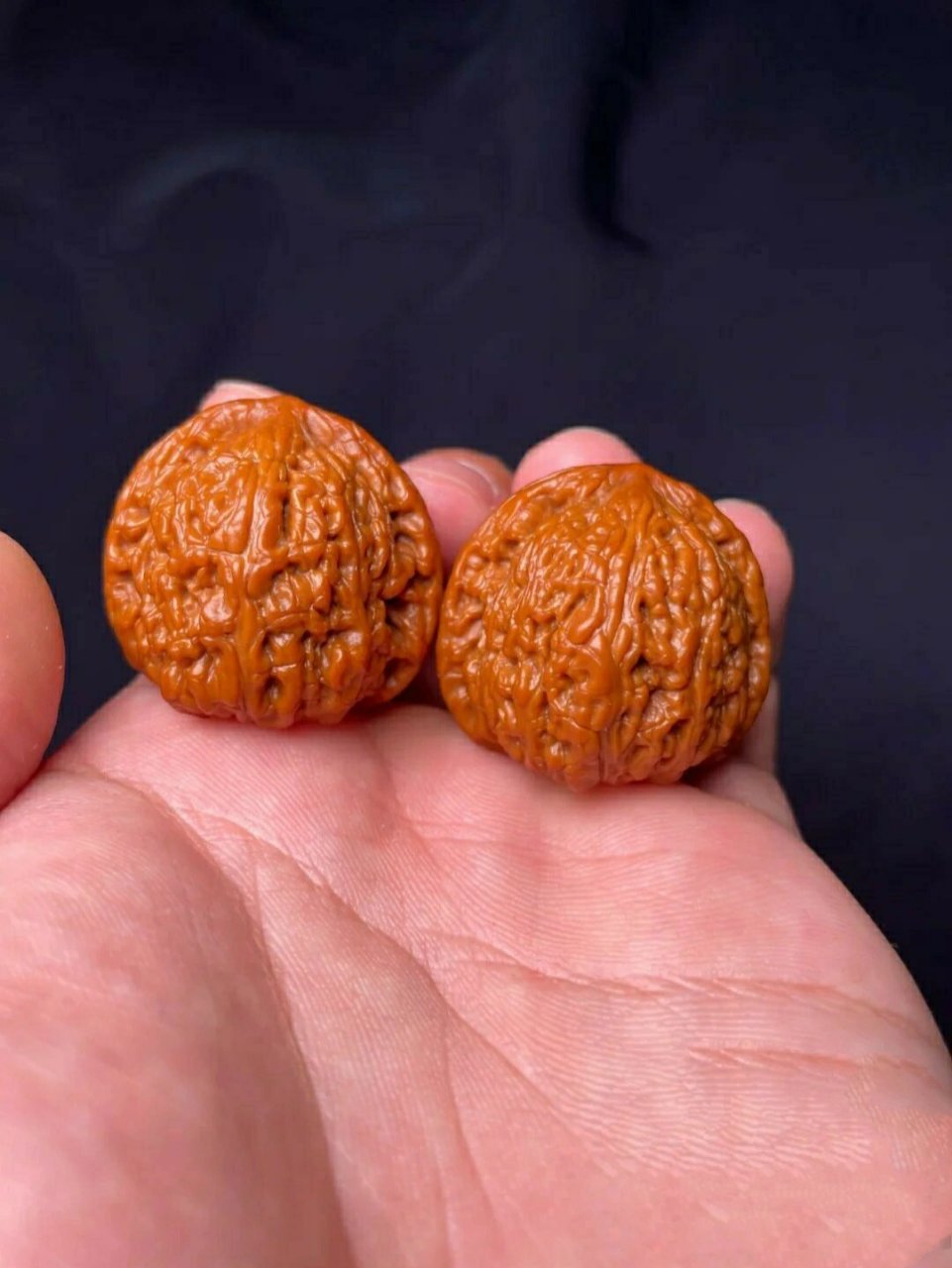 文玩核桃品种介绍(三十七)红玛瑙 98红宝石狮子头,最早叫龙顶狮子头