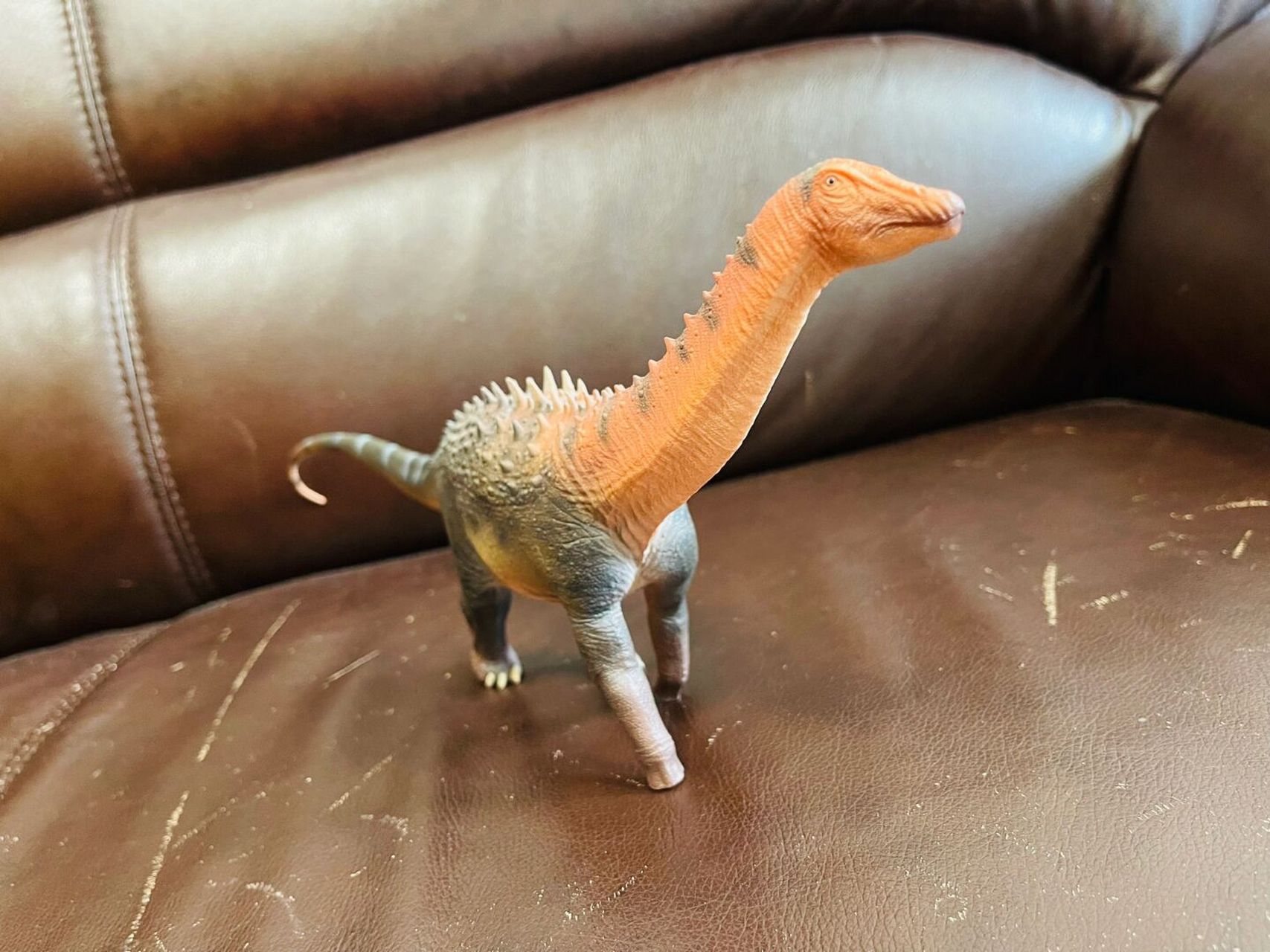 科普# #古生物# #恐龙# #恐龙玩具# #小恐龙# 背上长刺的蜥脚类谁不