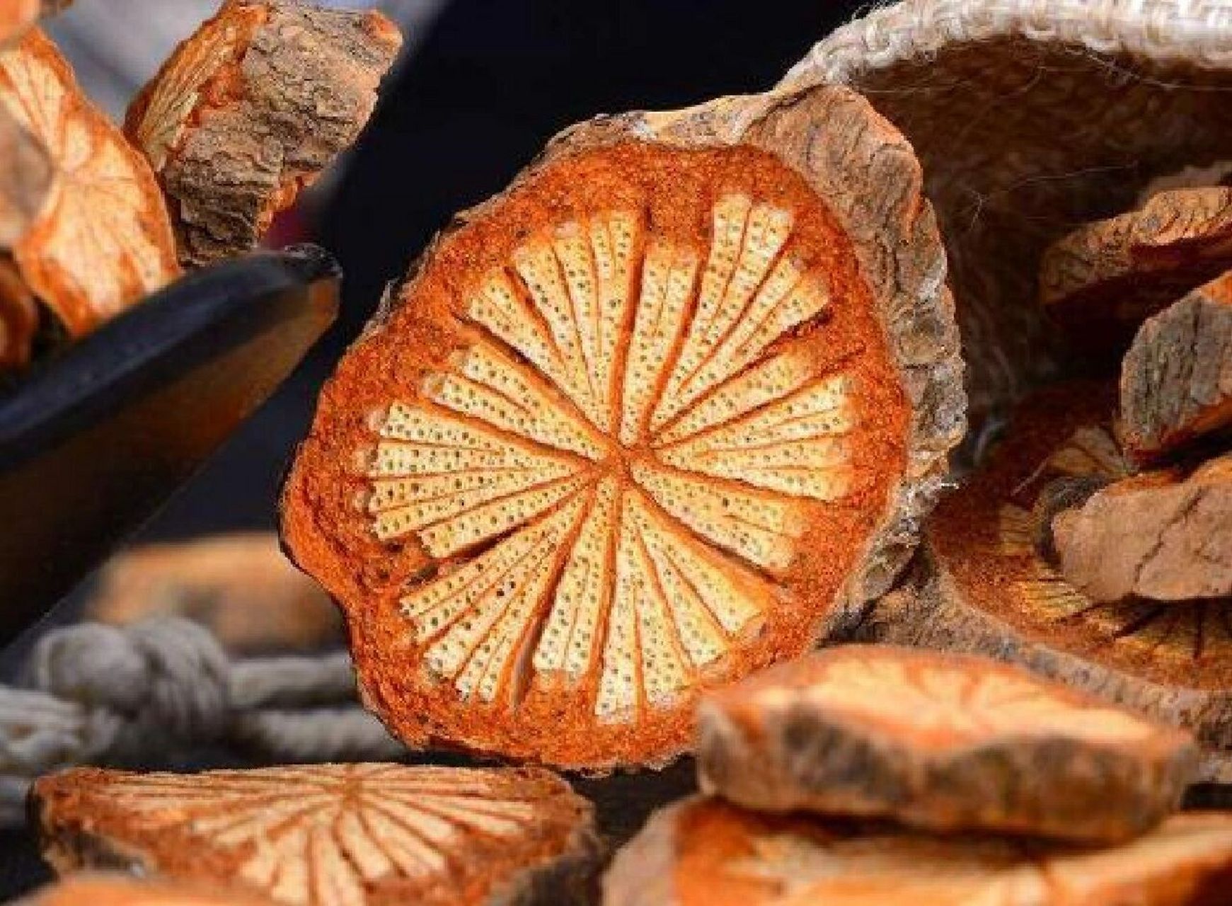 看故事学中药(大血藤) 红藤中药故事 在深山老林,长着一种皮色红褐的