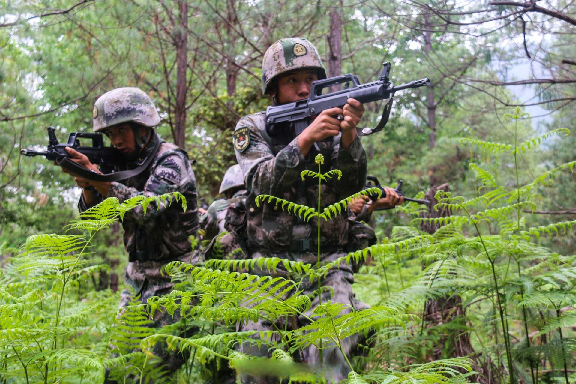 直击高原步兵班班战术演练#】练兵场上硝烟起,夏日炎炎战味浓