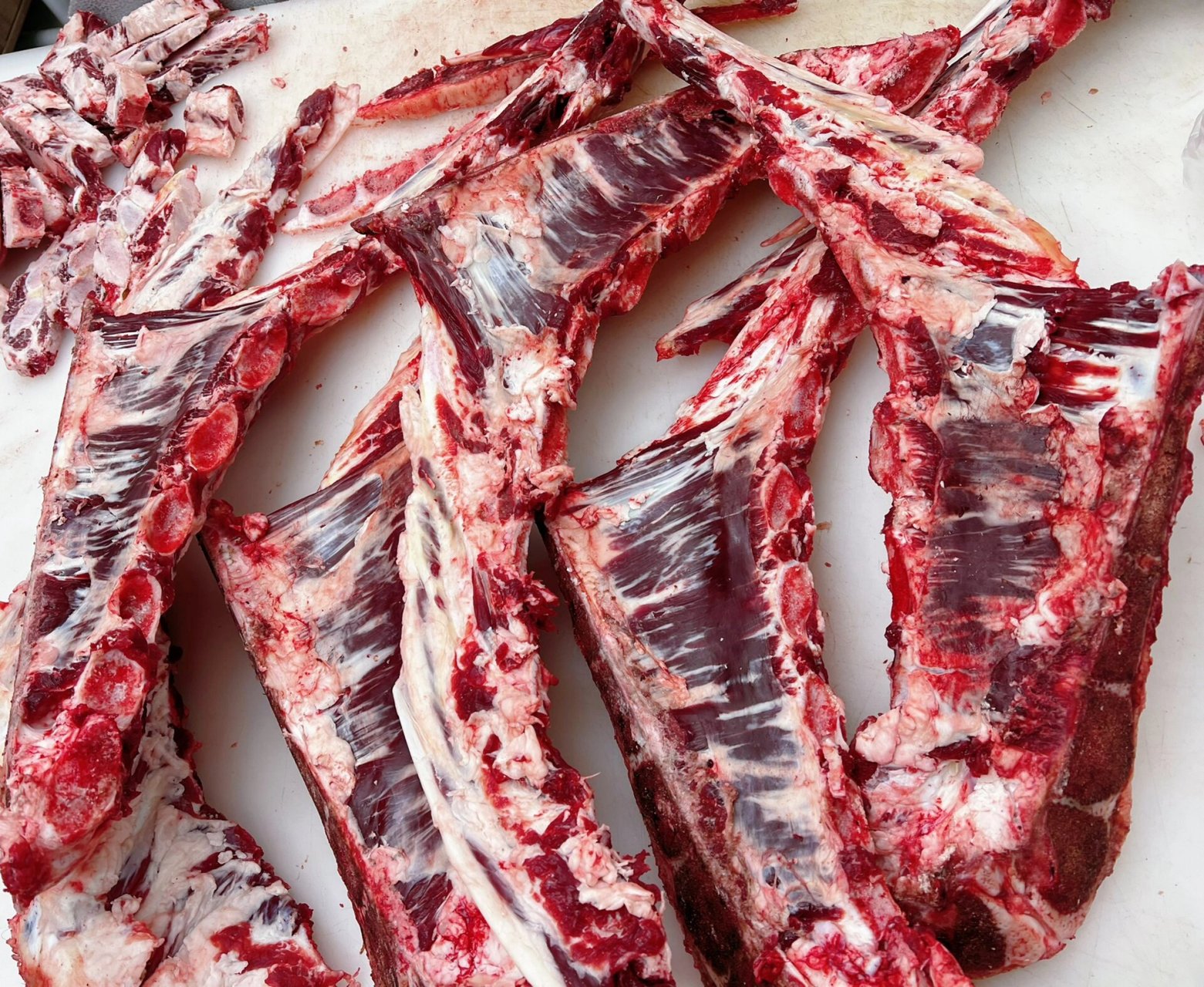 牛燕翅骨你们吃过吗?