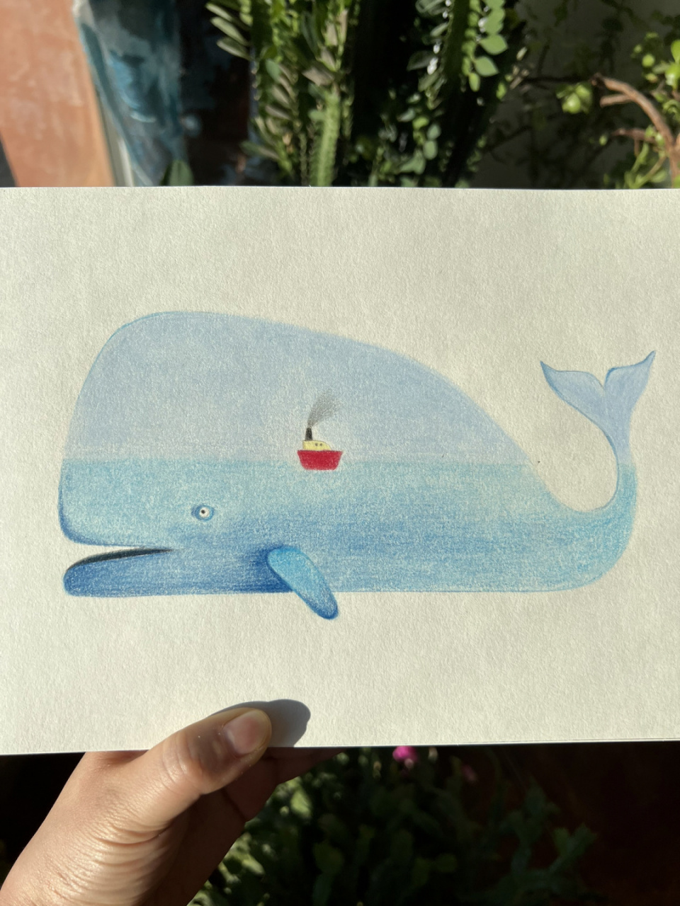 鲸鱼(彩铅画