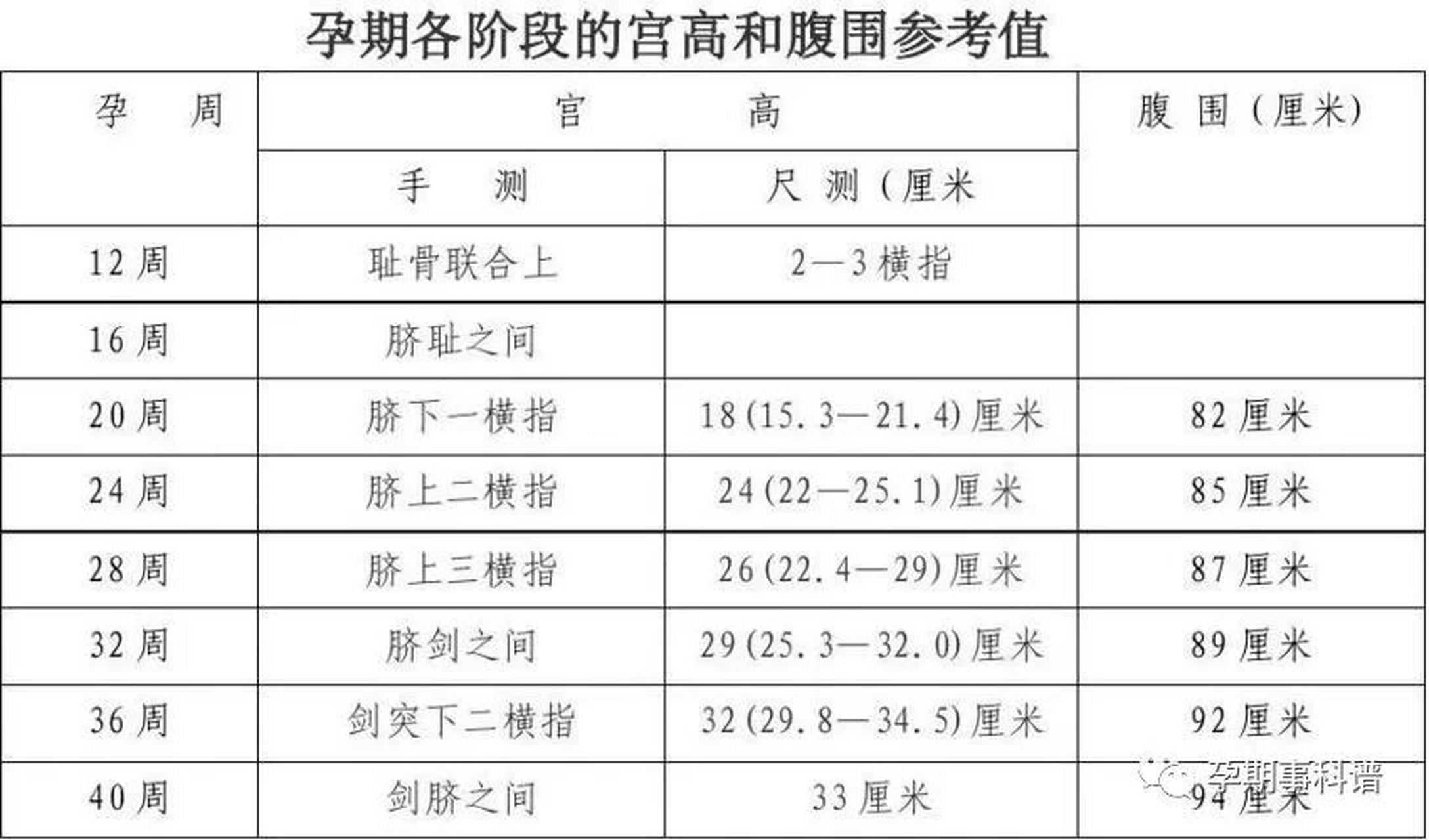 子宫大小与孕周