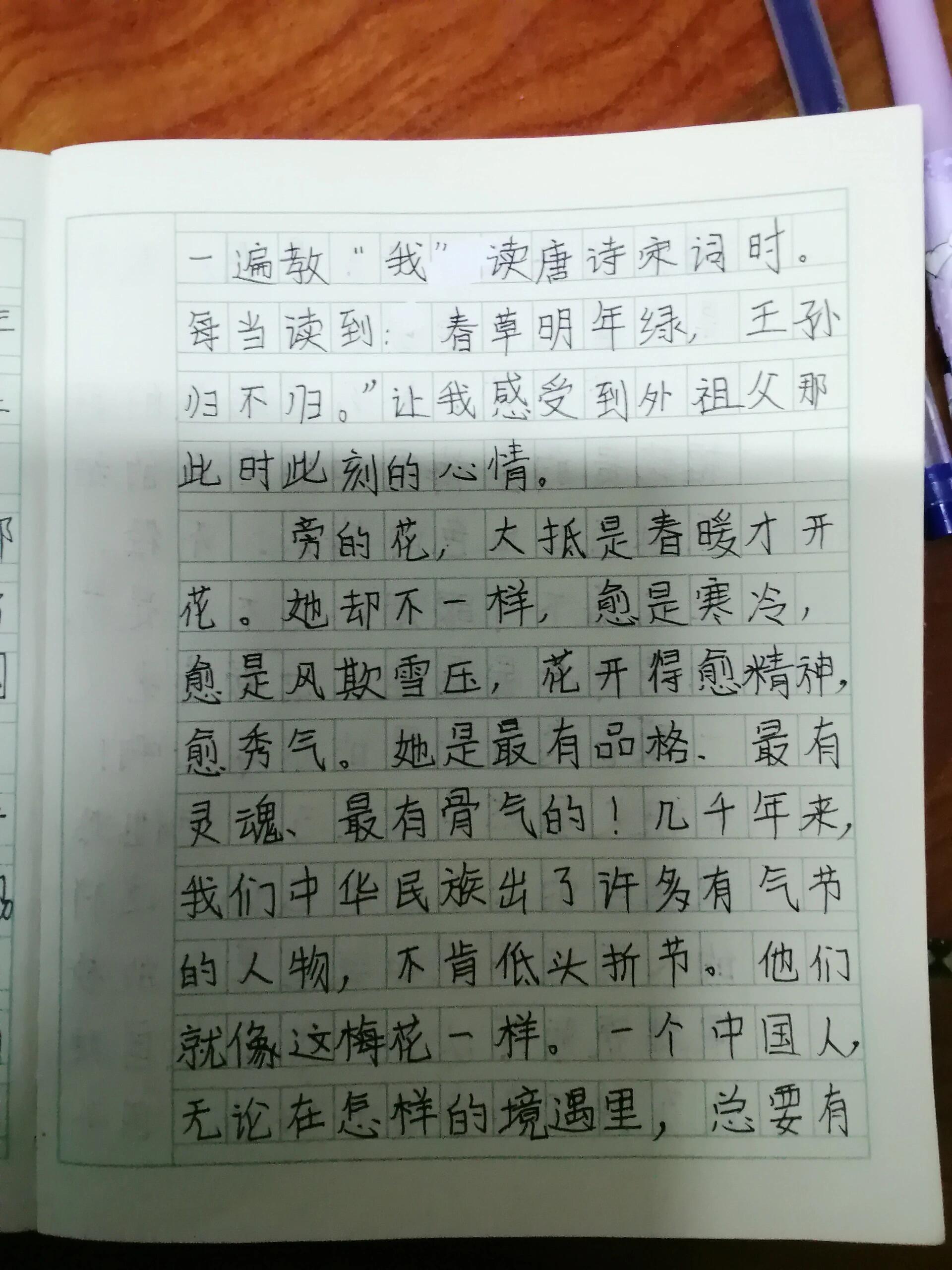 《梅花魂》读后感