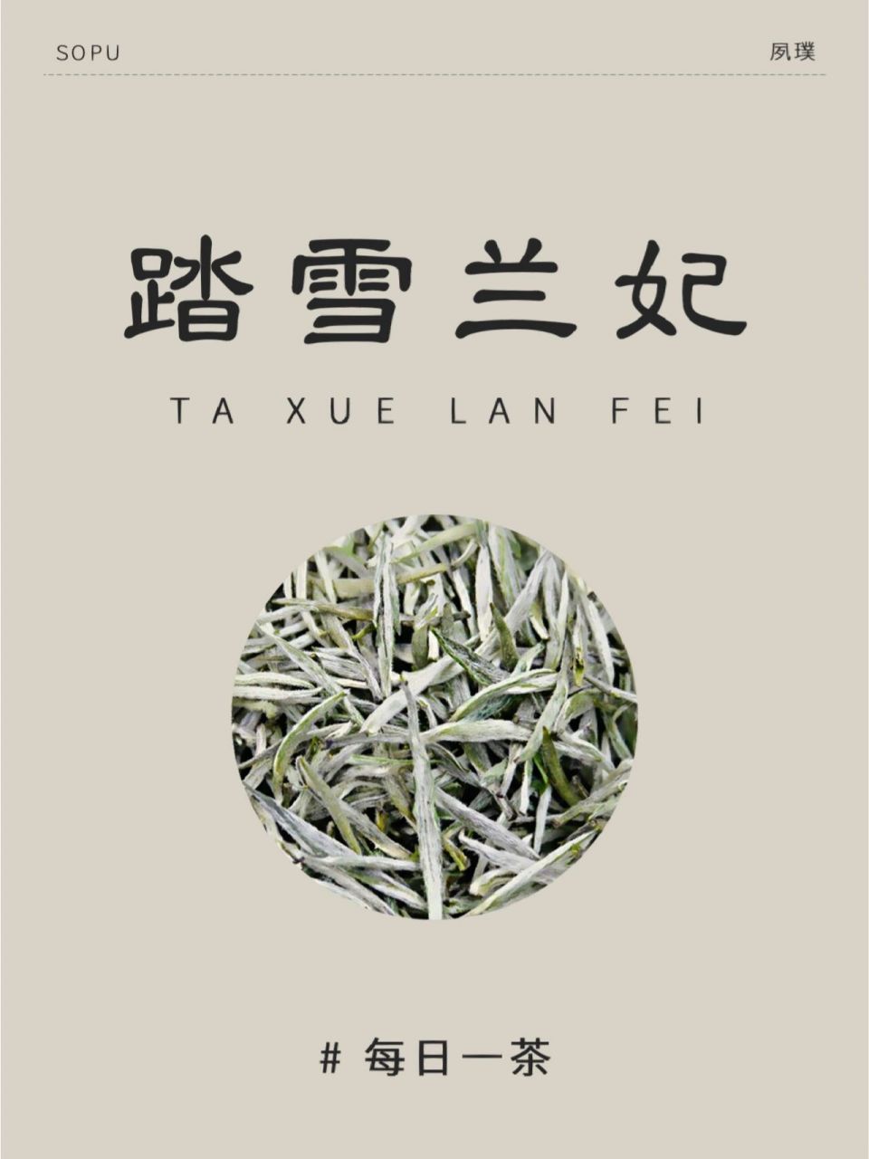 踏雪兰妃,属于黄茶,采用"黄茶77花茶"的特殊工艺制作而成,香气浓醇