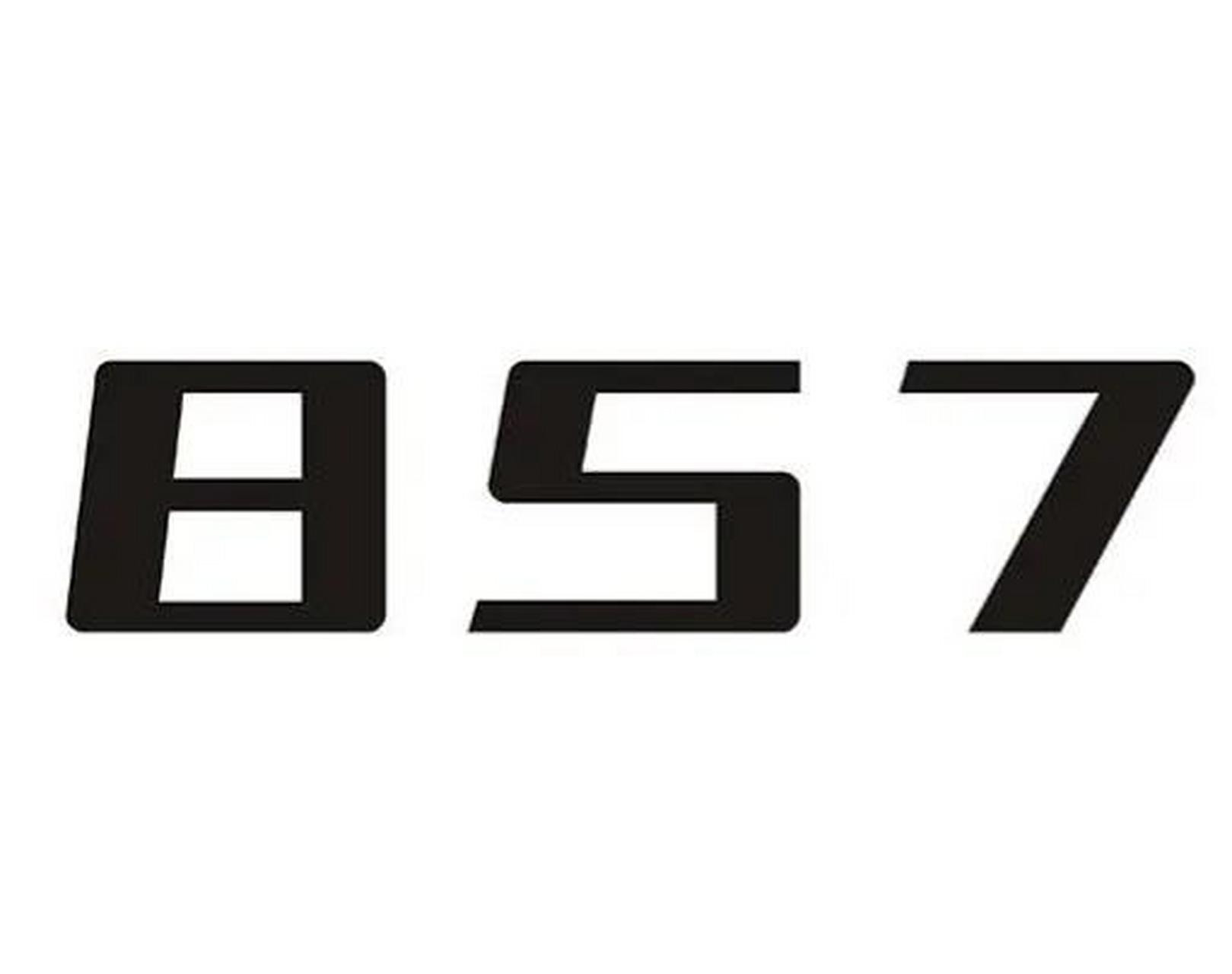 857,是一个网络流行语,意思是指蹦迪神曲《bow chi bow》和《feel my