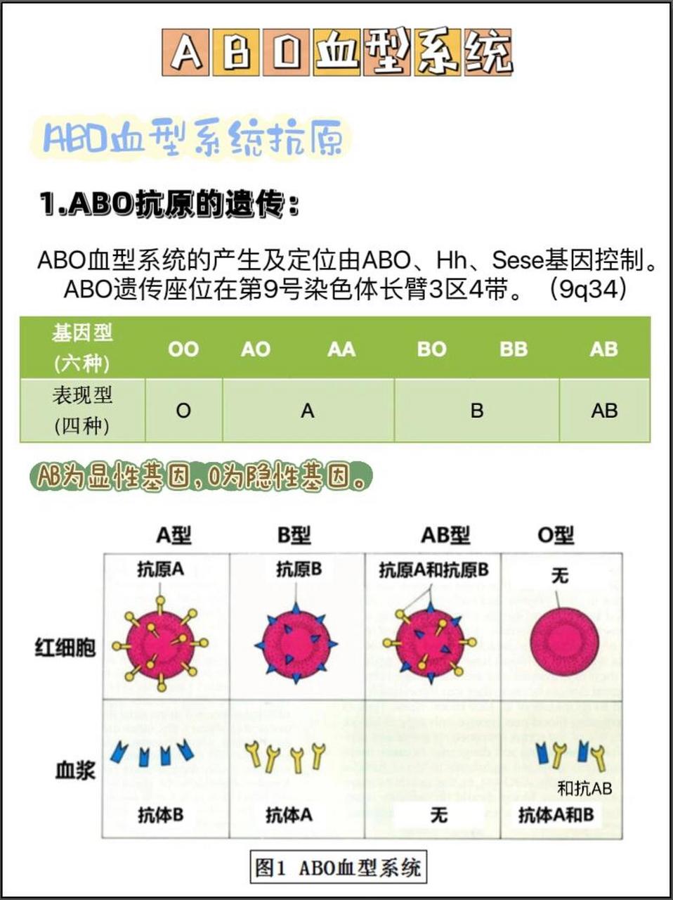 abo血型遗传图片