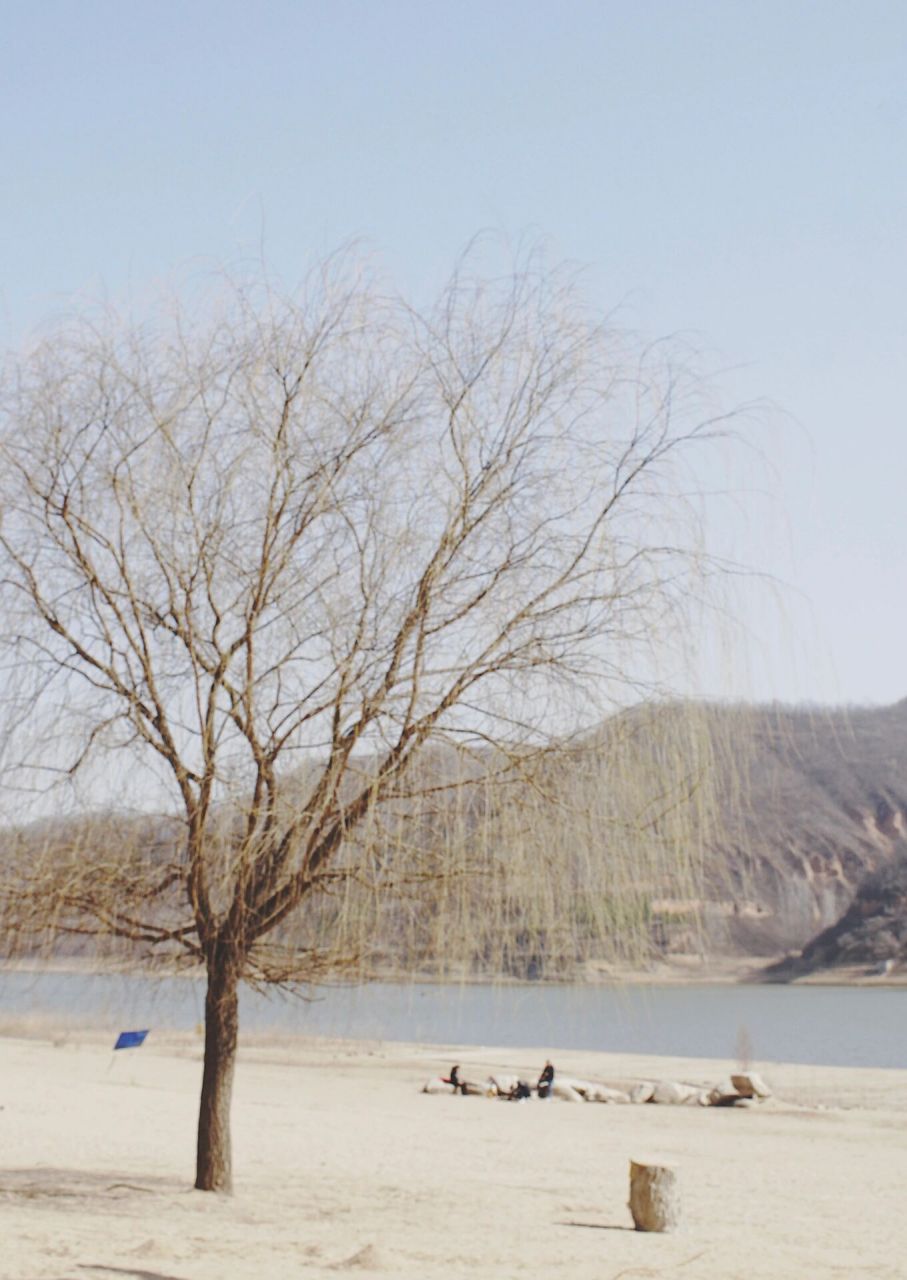 西安露营|这里有棵电影树,大秋千和一片冰湖 99林皋湖沙滩 位于渭南