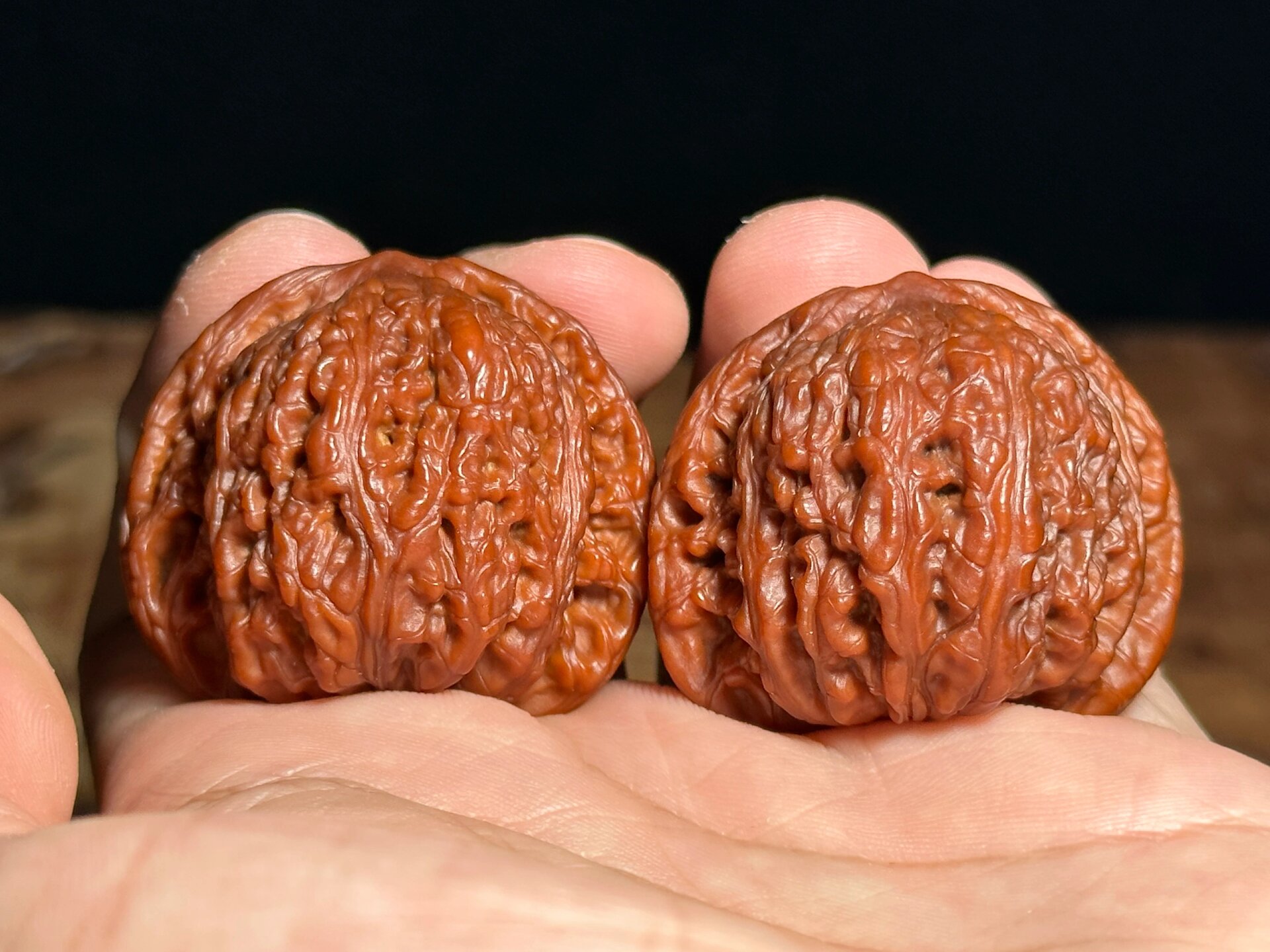 一款值得尝试的核桃品种——密纹 密纹狮子头,也叫红玛瑙,红宝石,产地