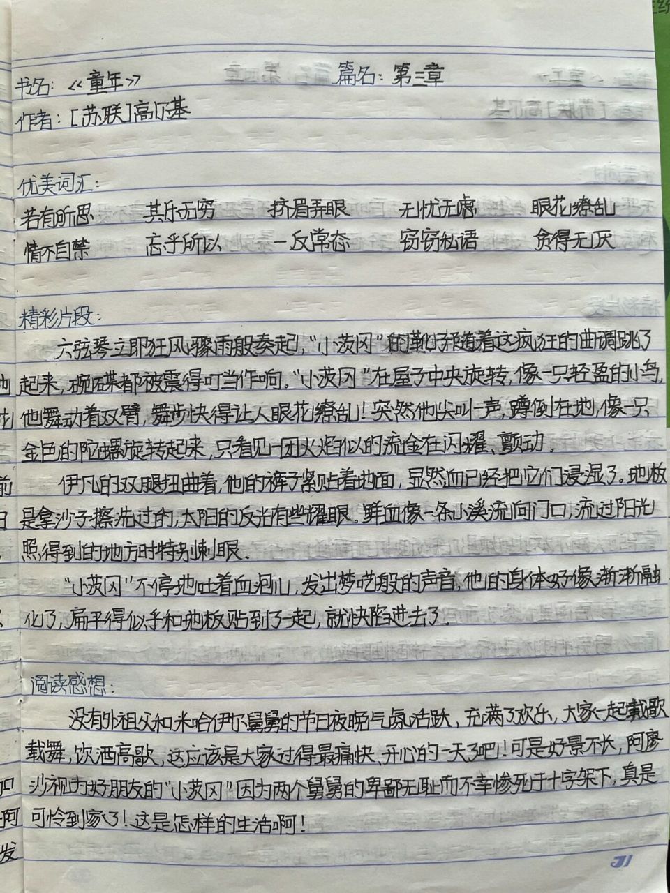 读书笔记《童年》第三章