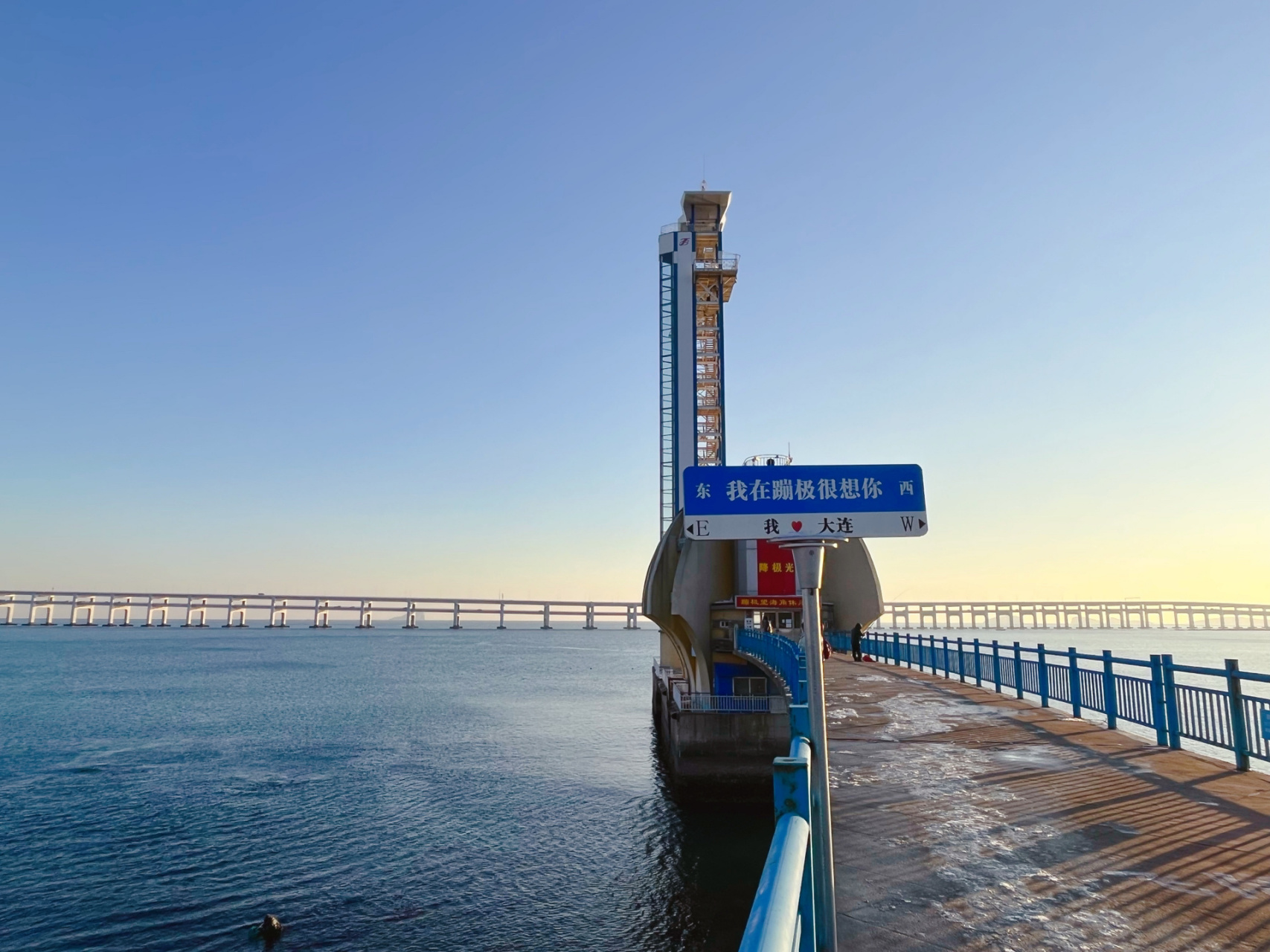 i97大连99我在蹦极很想你,城市日记 带着molly打卡 大连浪漫95