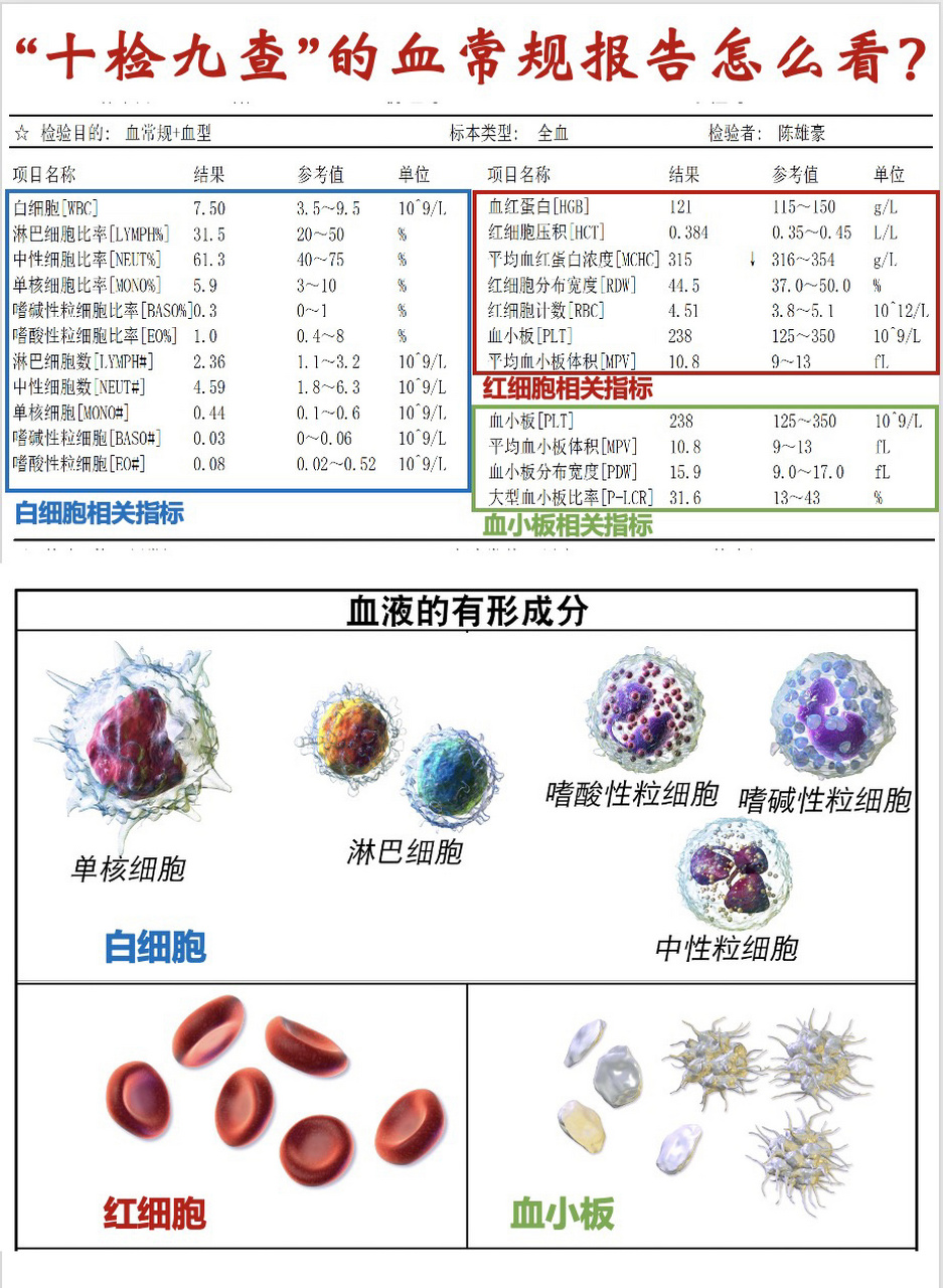 科普22 | 血常規報告指標解讀 當身體出現不適,醫生開出檢查單的時候