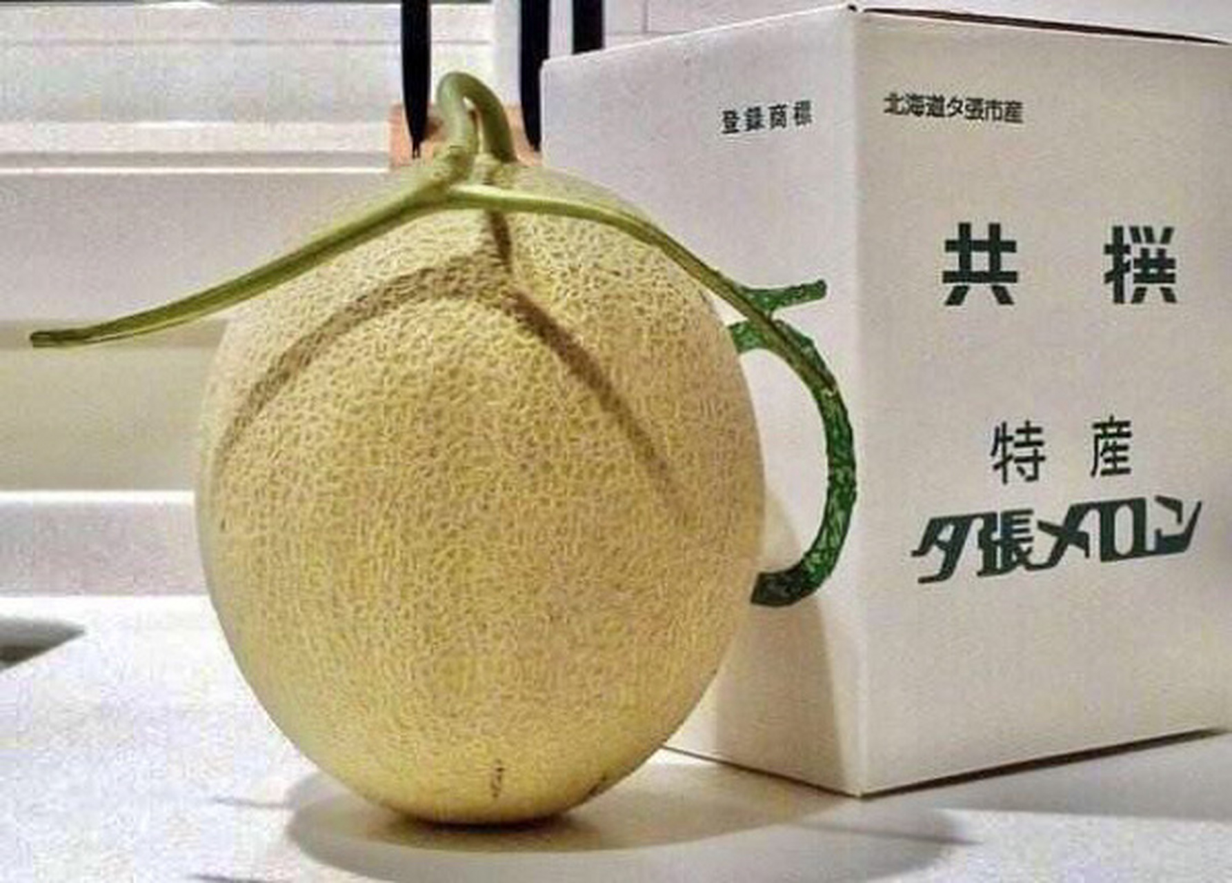 日本夕张蜜瓜王:全球最贵水果 五月,日本北海道夕张市的特产"夕张蜜瓜