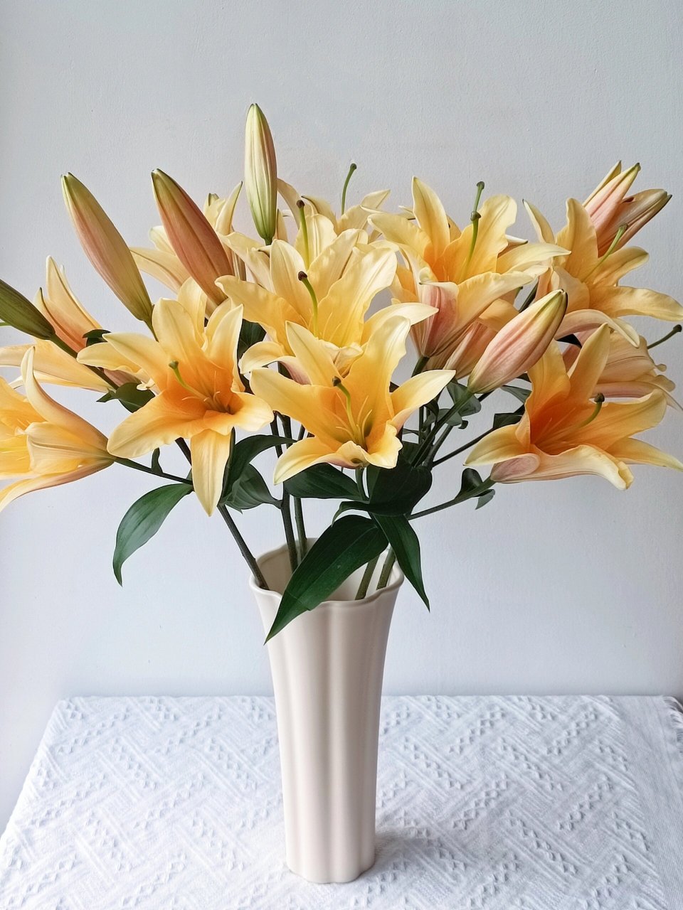 多头香水百合·晚霞|当正午阳光遇上晚霞～                    94