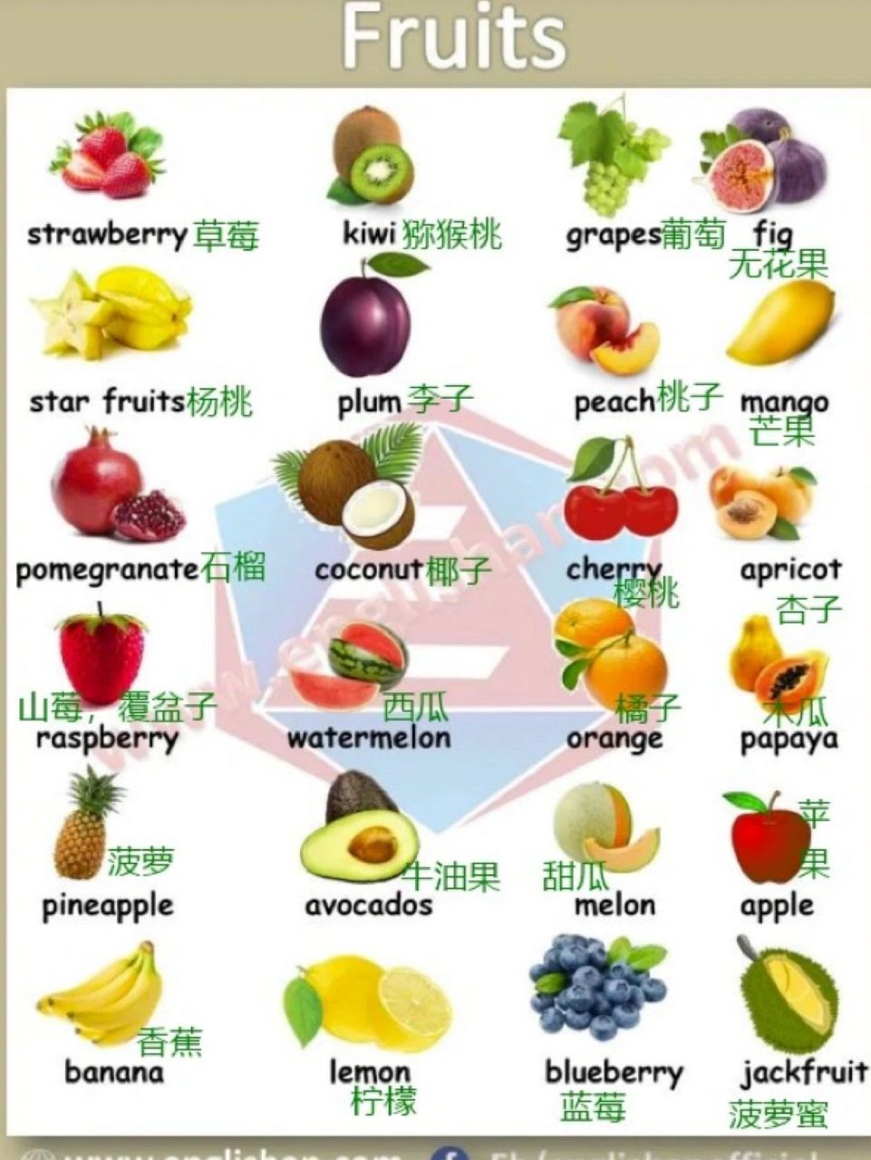各种水果的英文名汇总91929990 fig 无花果 star fruit