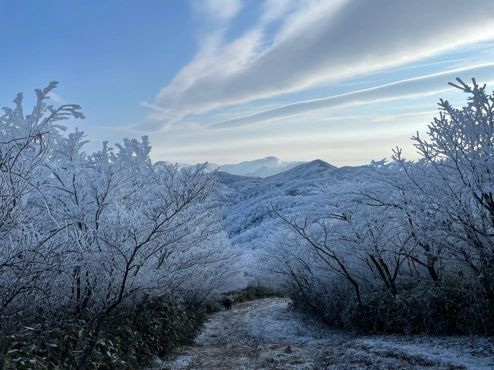 安吉龙王山雪景图片