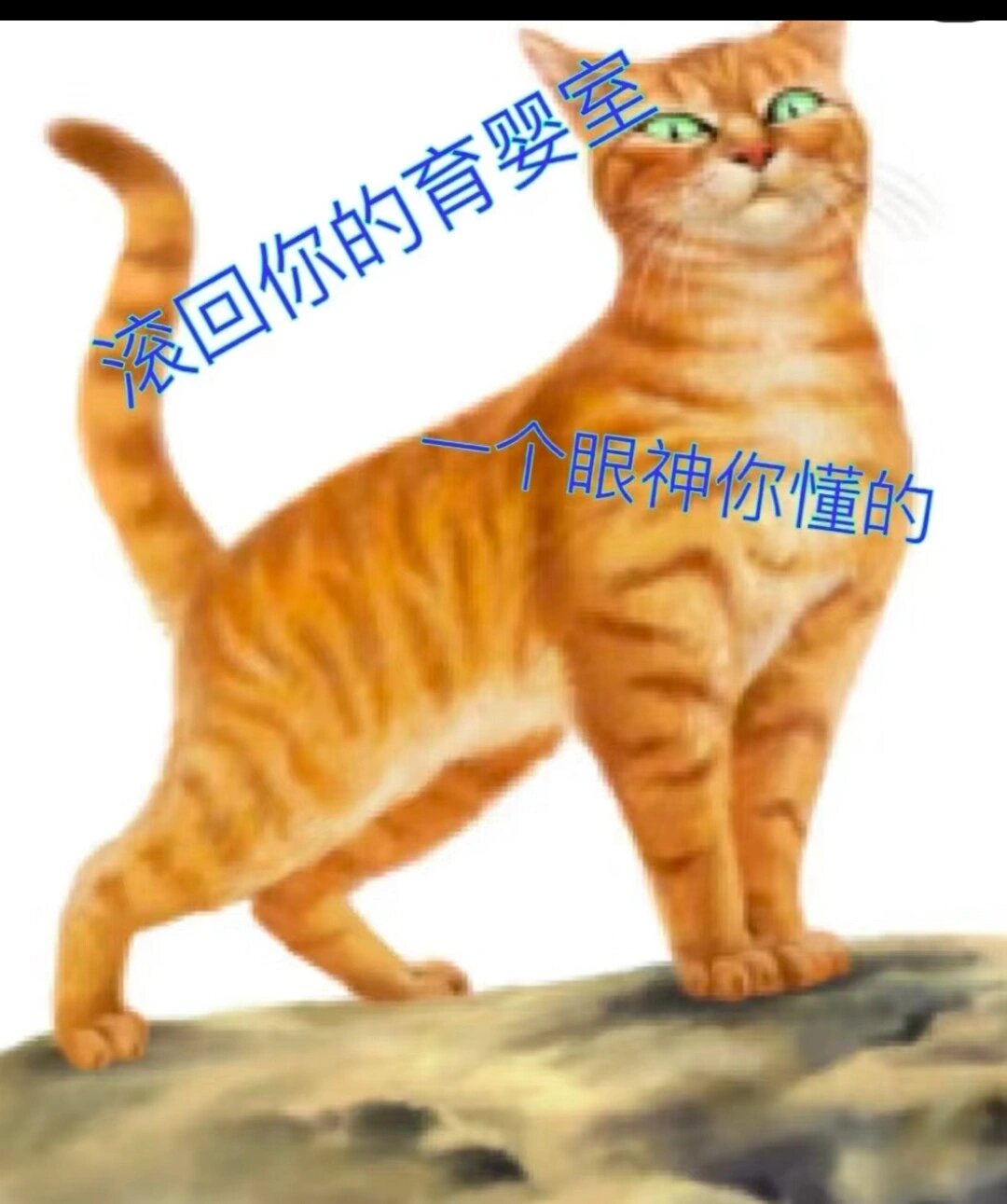猫武士表情包(火星篇)还想看谁的.@小麦田野的动态