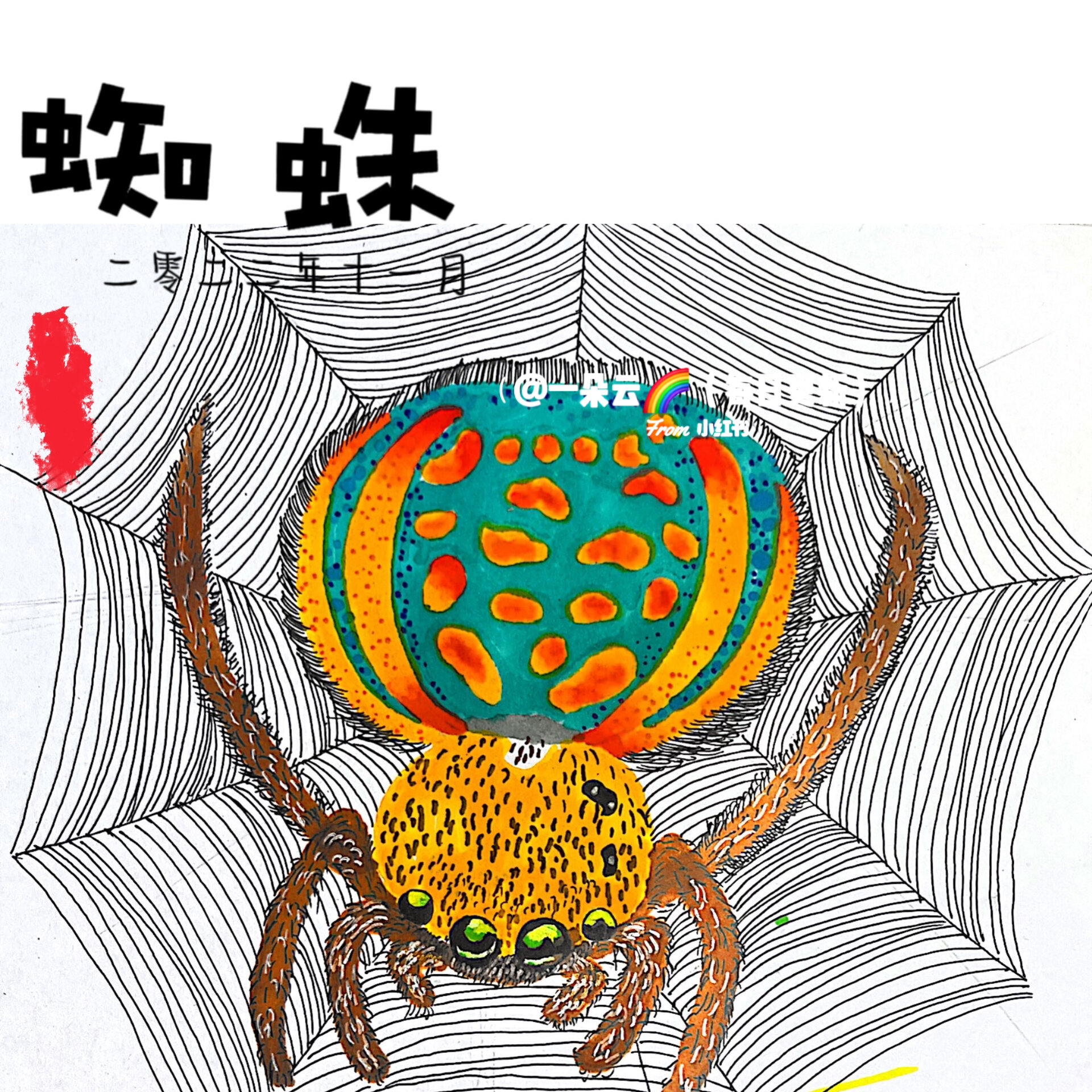创意少儿美术课程《蜘蛛》适合大班～一年级