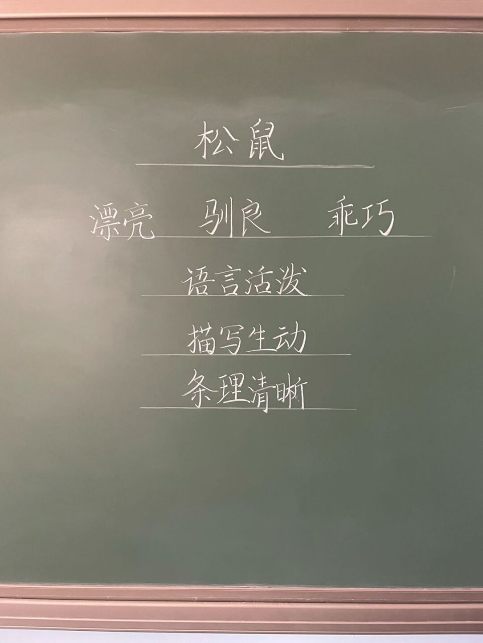 五年级上册《松鼠》板书设计77教学设计 #小学语文备课# #小学语文