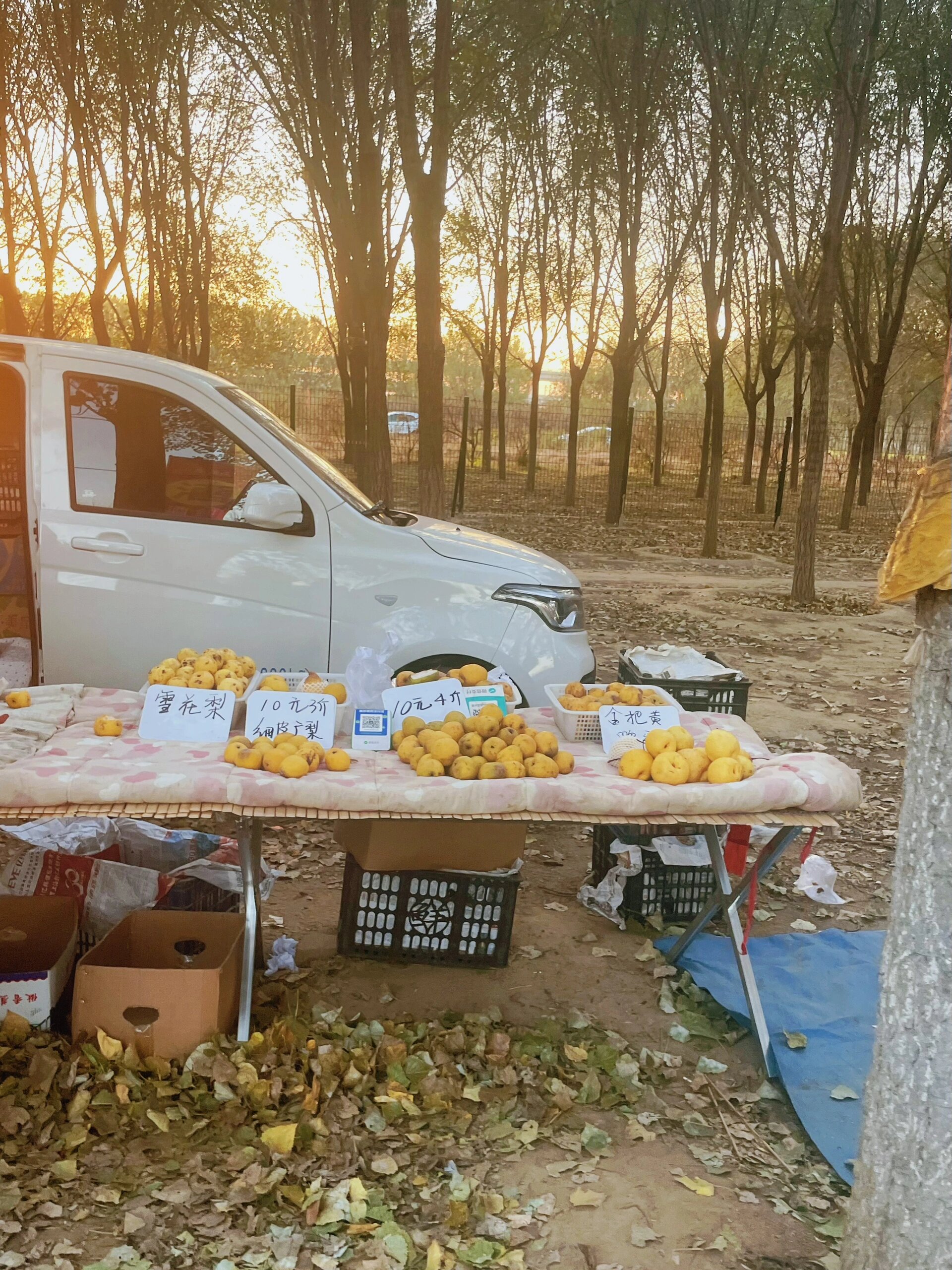 北京大兴|魏善庄大狼垡集