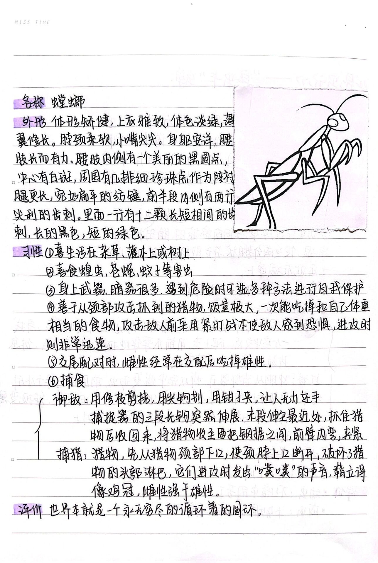 《昆虫记》螳螂