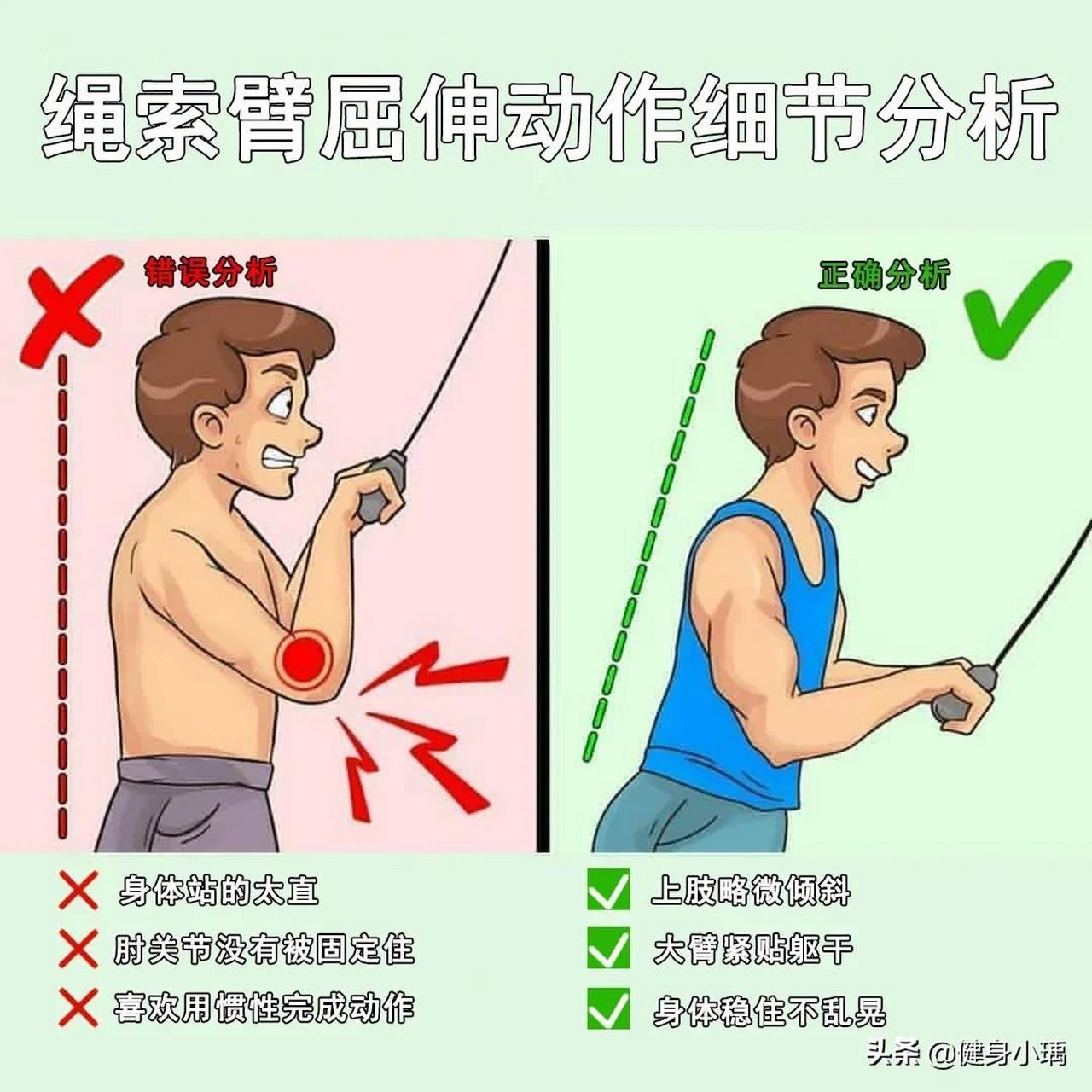 绳索臂屈伸图片